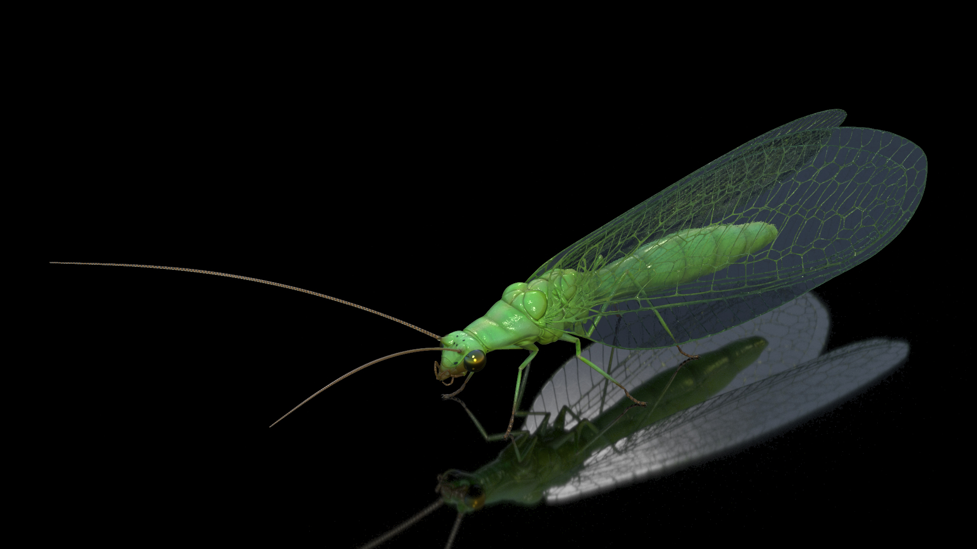 3D model Green Lacewing Rigged for Maya