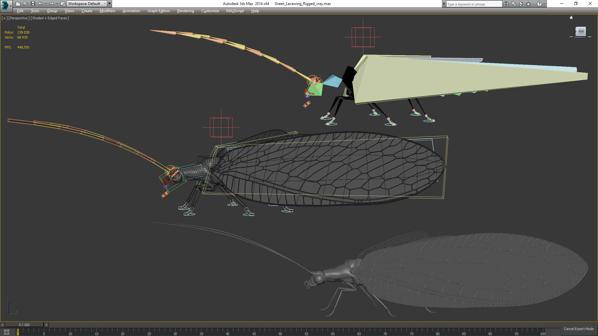 3D model Green Lacewing Rigged for Maya