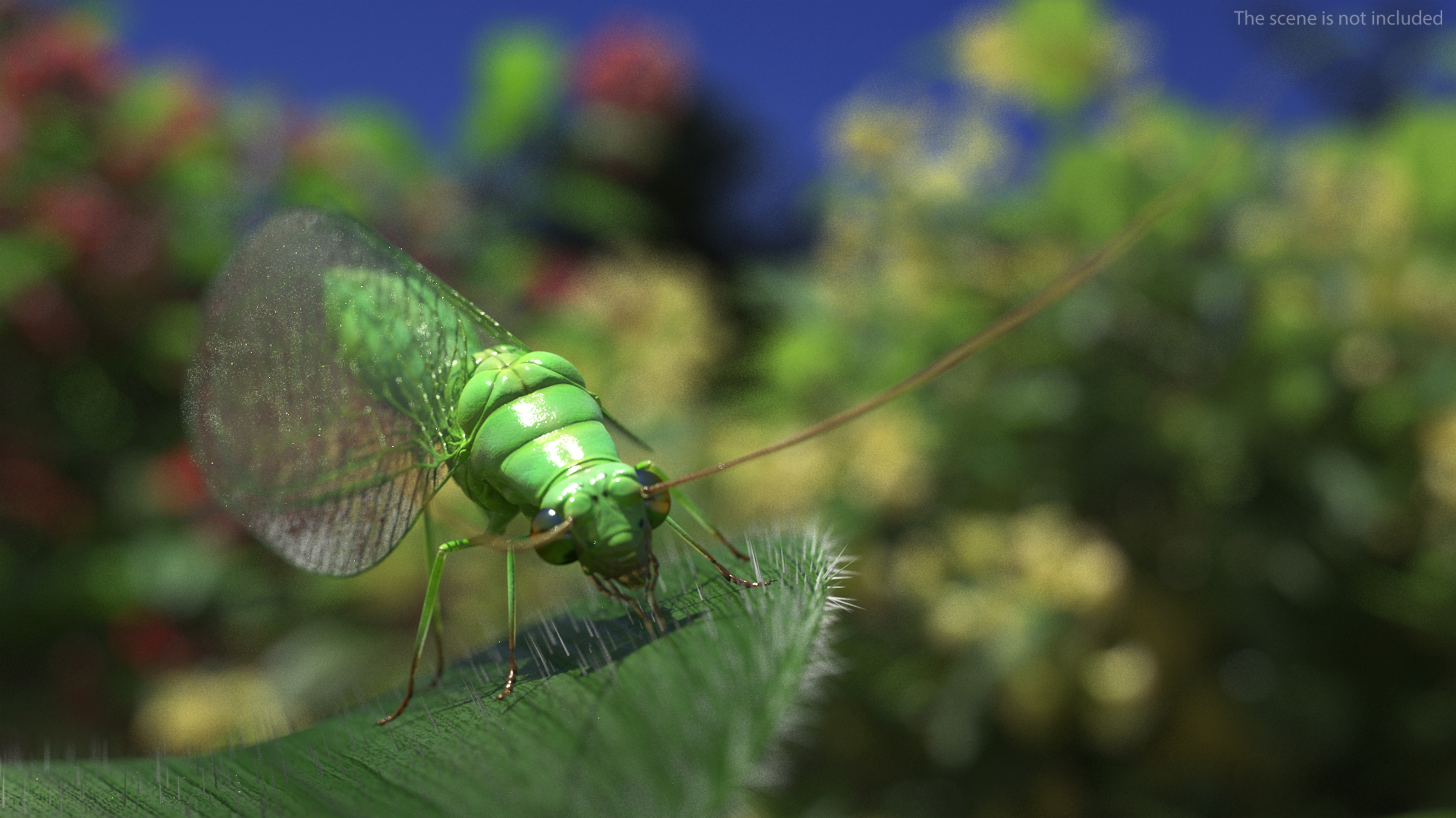 3D model Green Lacewing Rigged for Maya