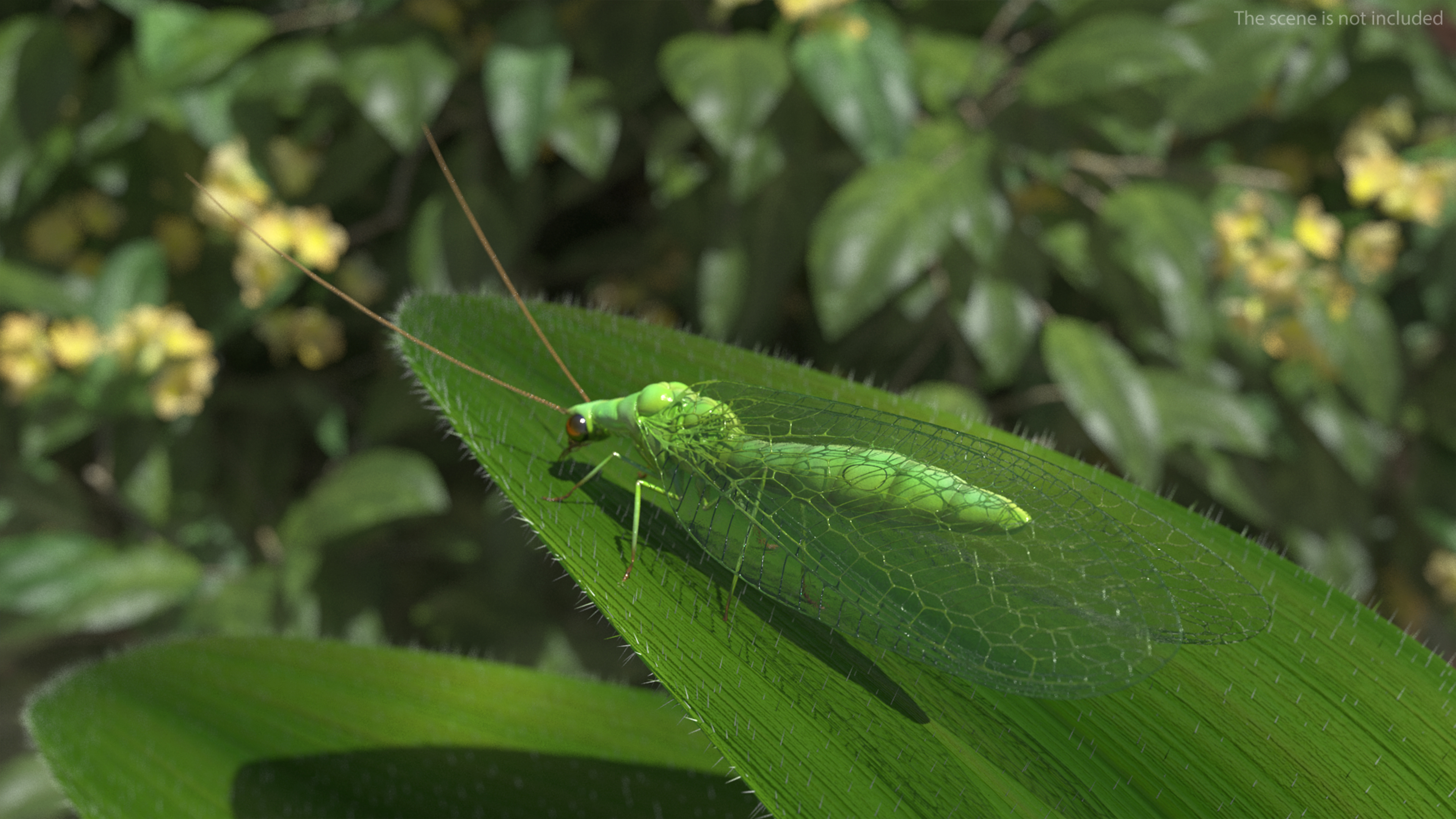 3D model Green Lacewing Rigged for Maya