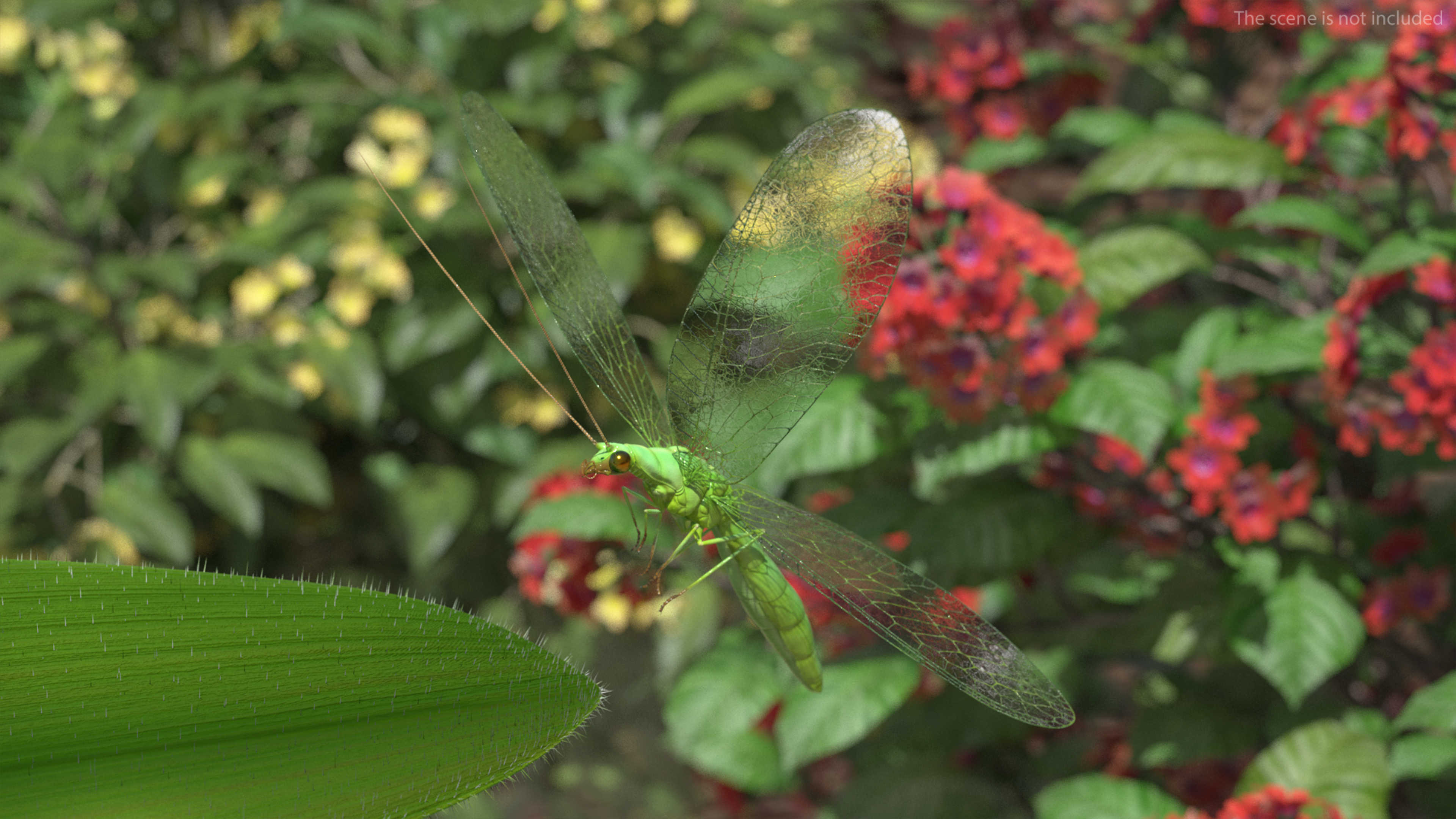 3D model Green Lacewing Rigged for Maya