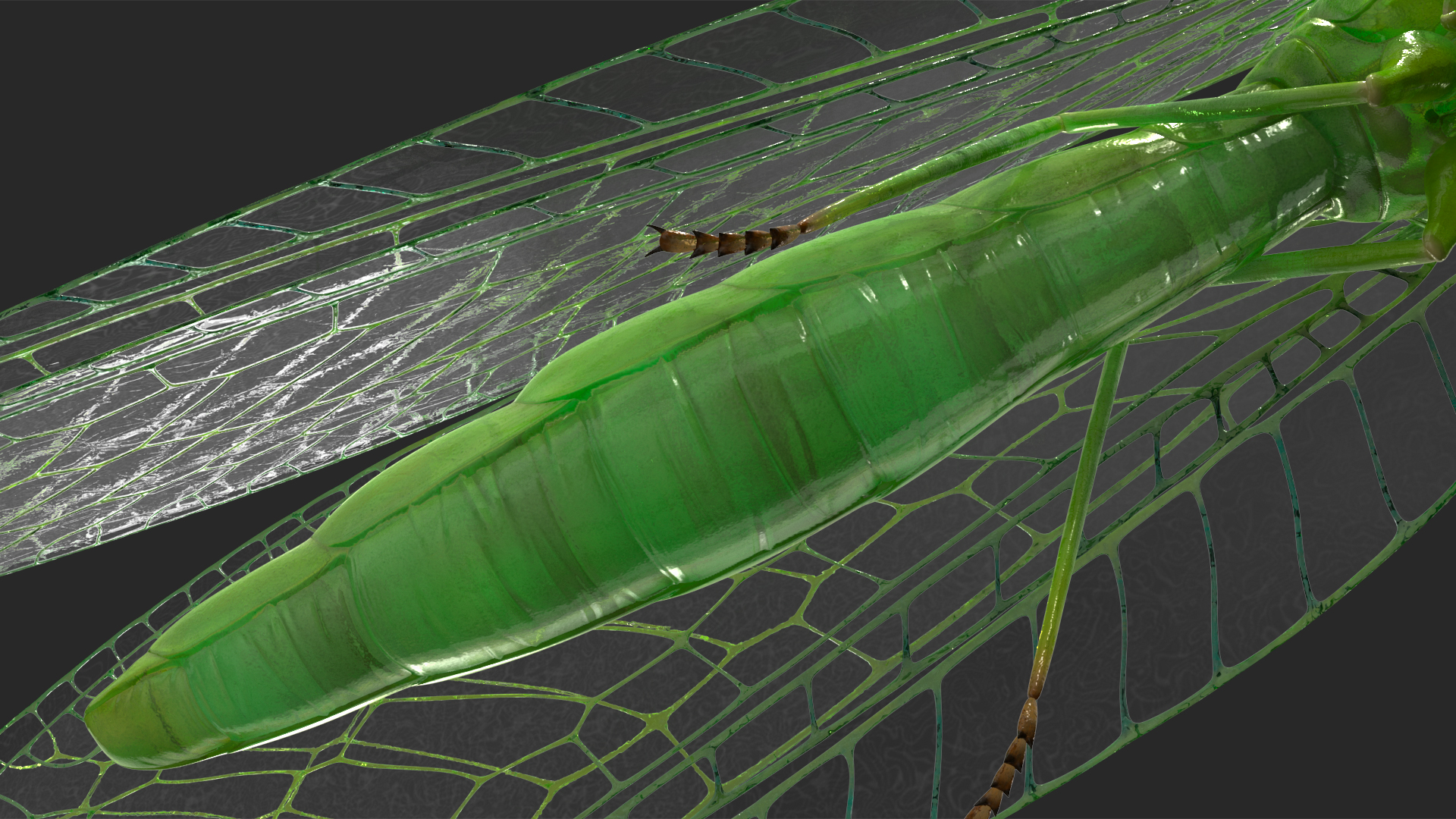 3D model Green Lacewing Rigged for Maya