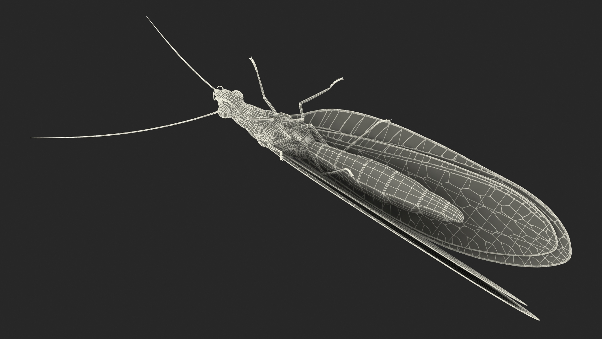 3D model Green Lacewing Rigged for Maya