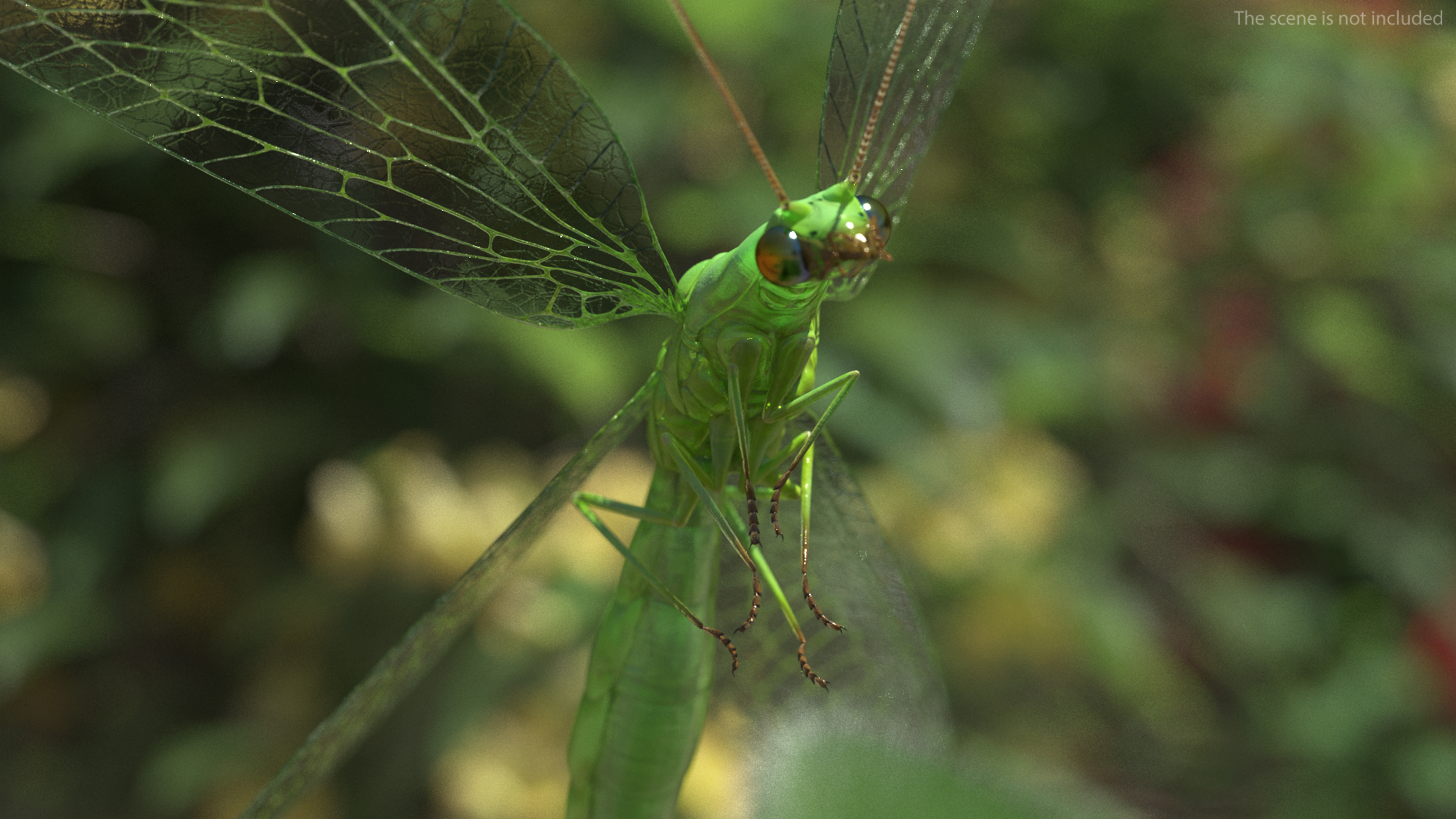 3D model Green Lacewing Rigged for Maya