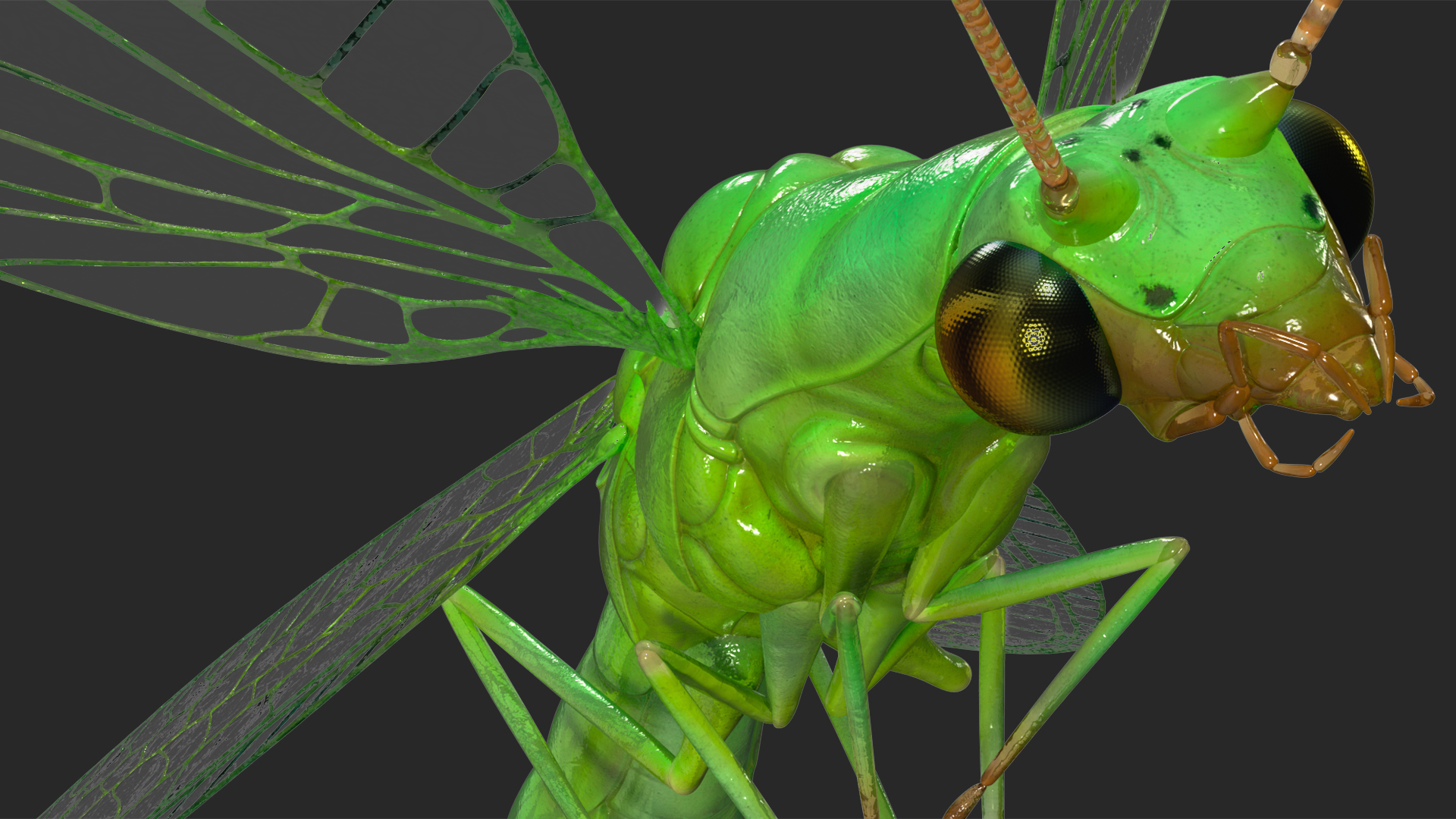 3D model Green Lacewing Rigged for Maya