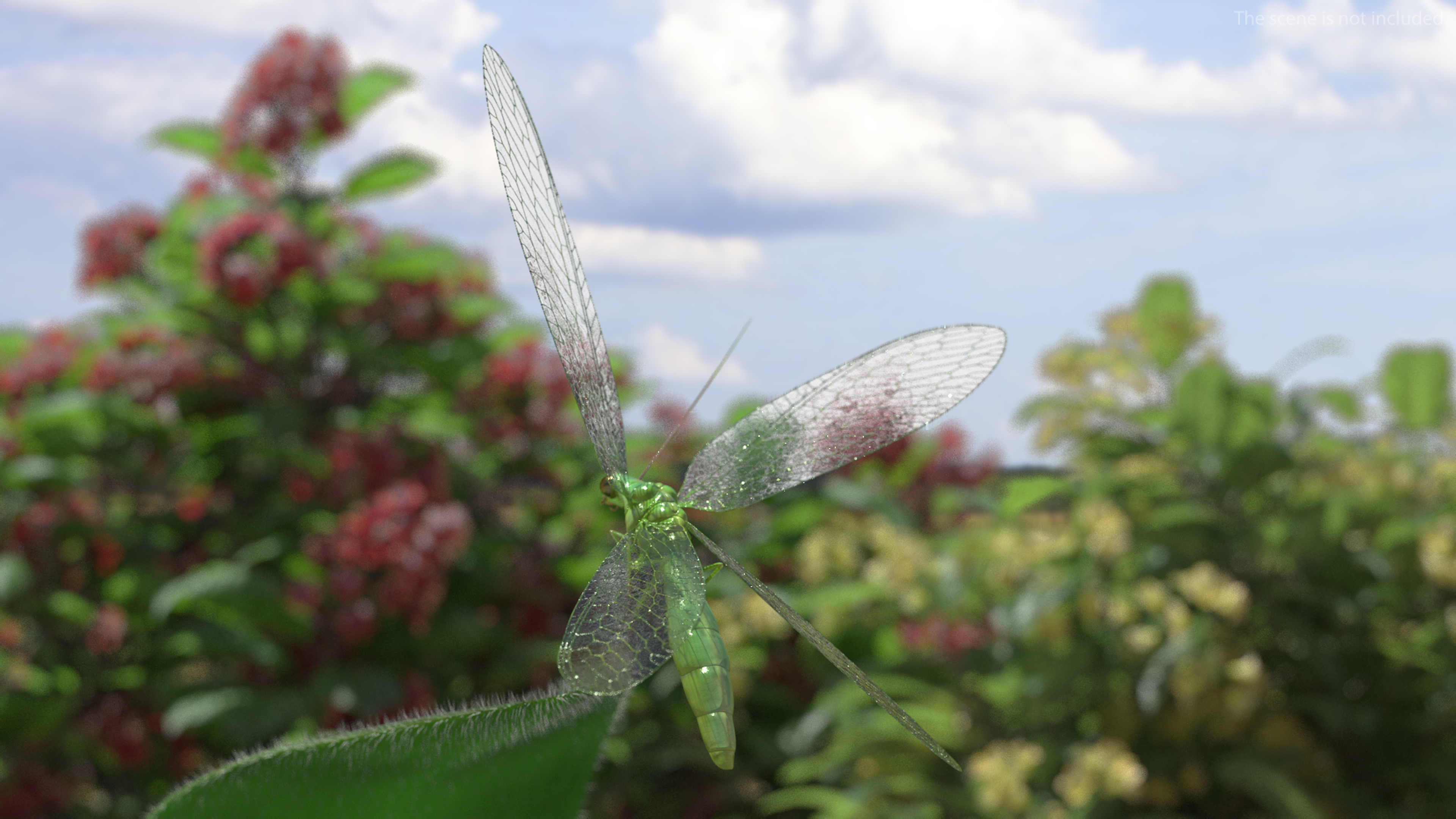 3D model Green Lacewing Rigged for Maya