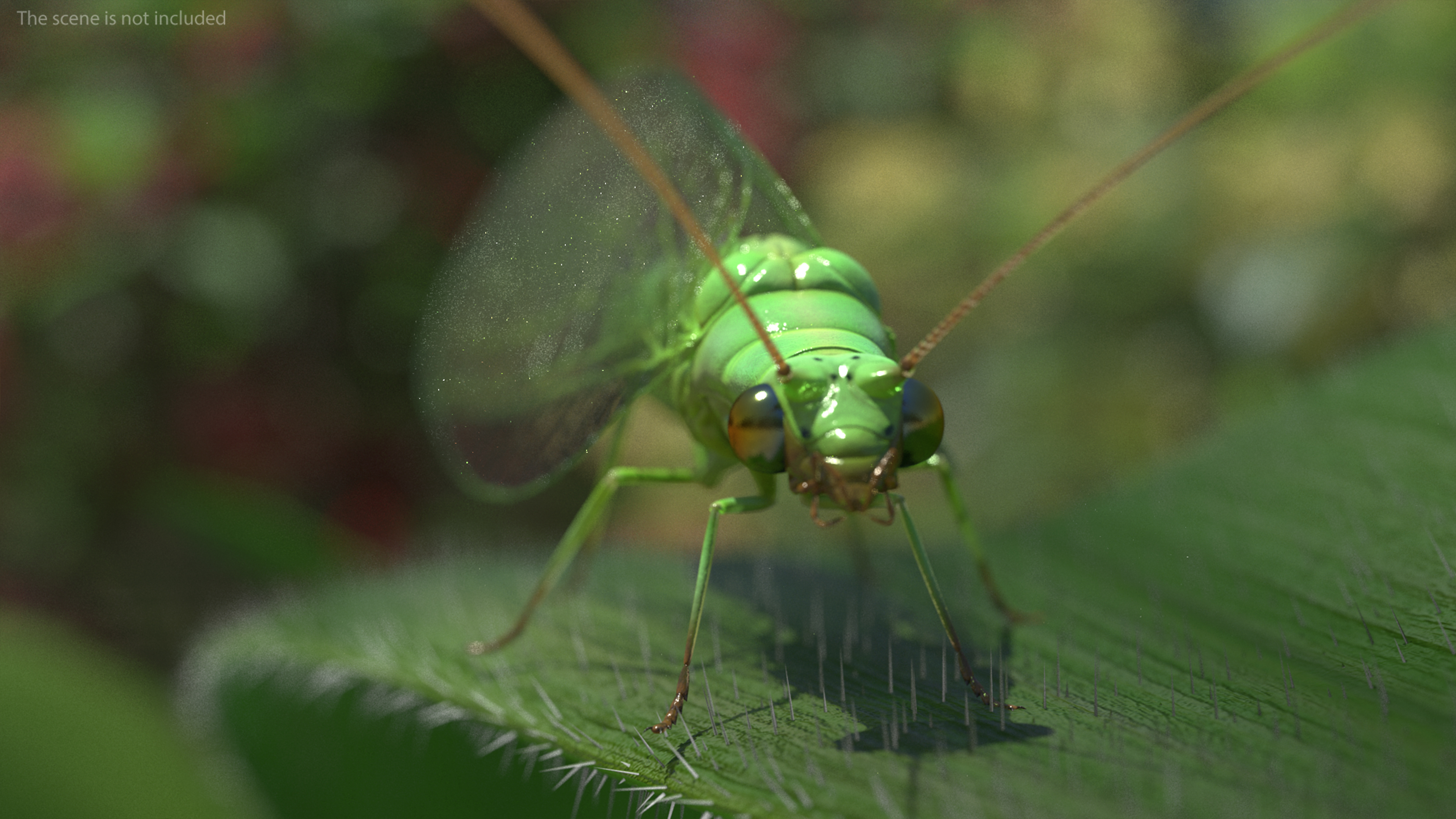 3D model Green Lacewing Rigged for Maya