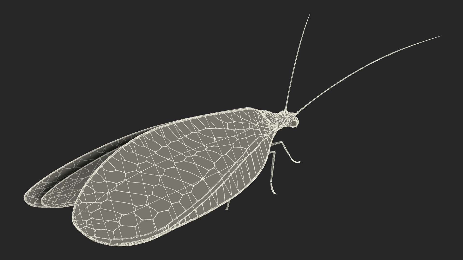 3D model Green Lacewing Rigged for Maya