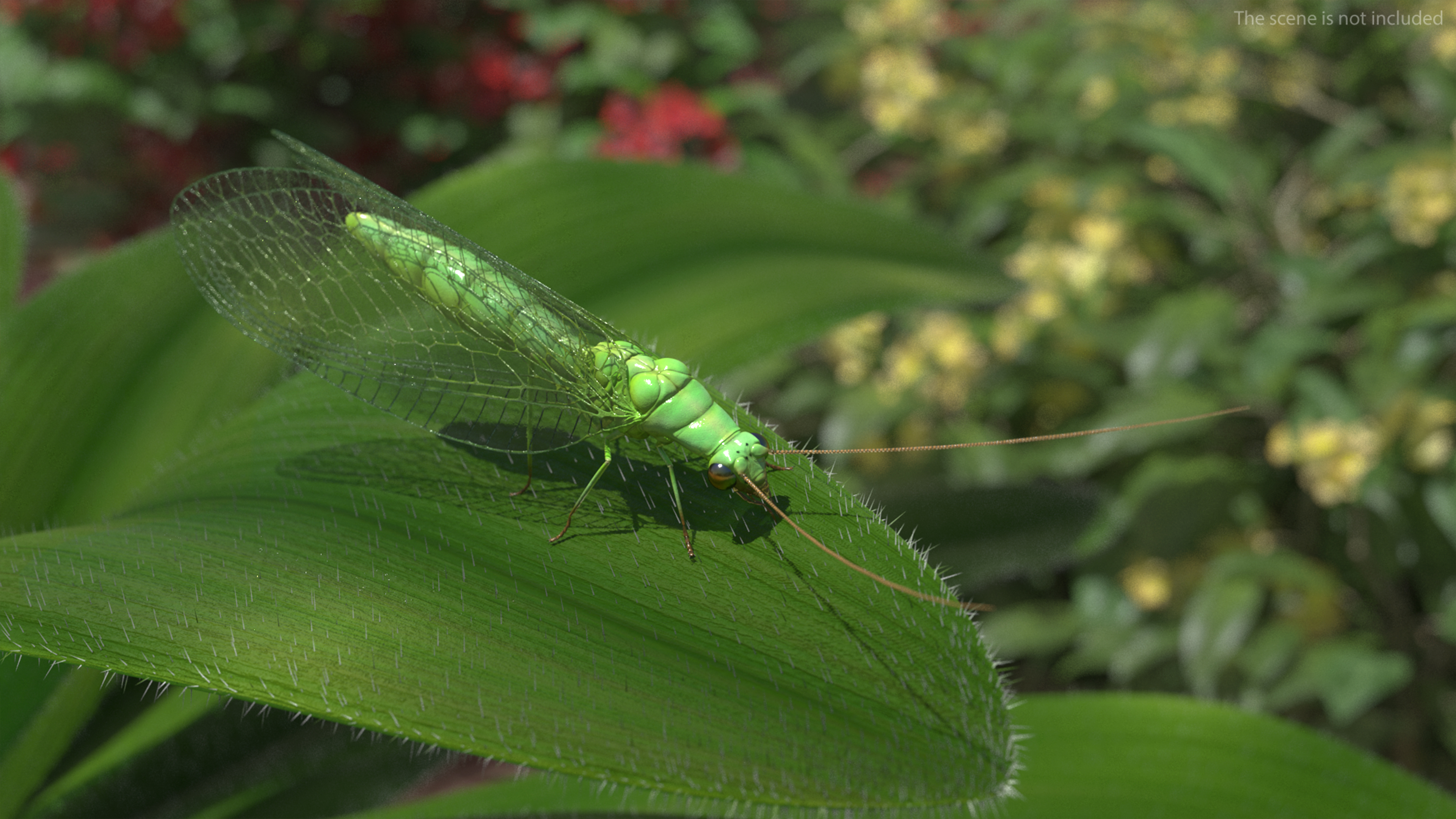 3D model Green Lacewing Rigged for Maya