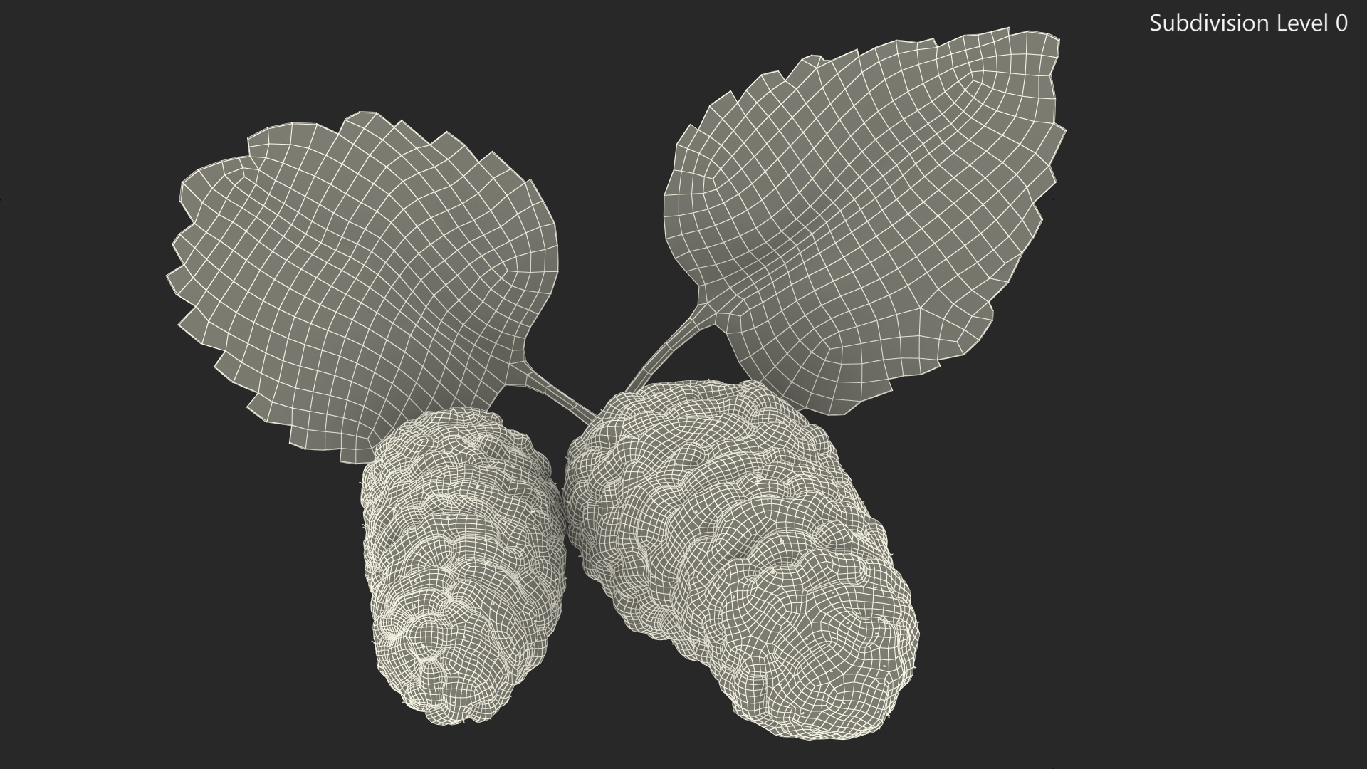 Mulberry Fruit White with Leaves 3D