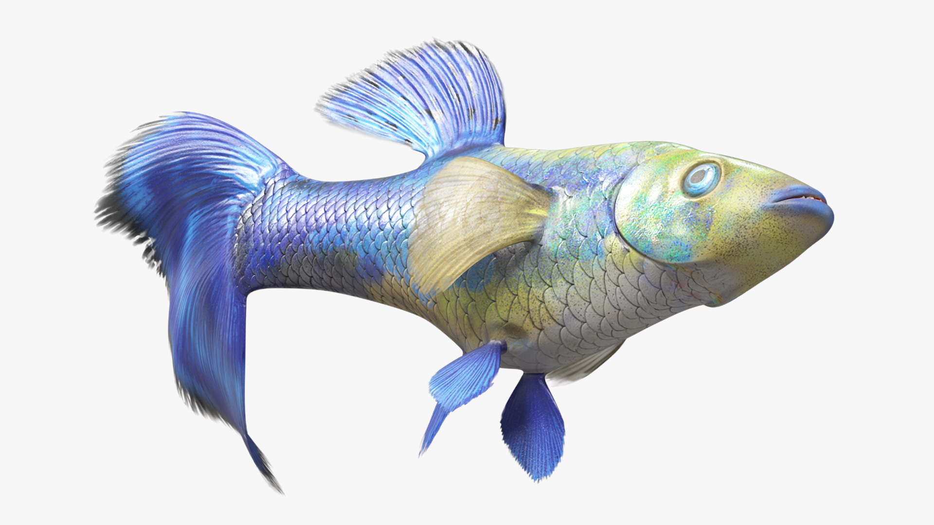 3D model Guppy Fish Blue Diamond Rigged