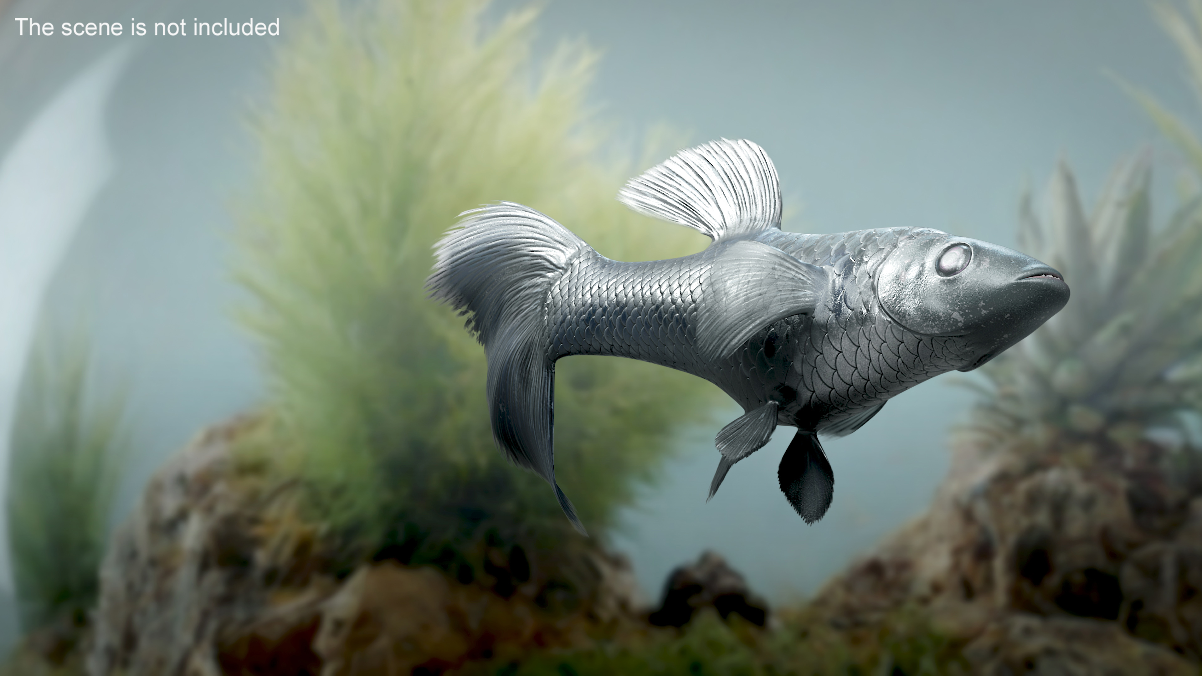 3D model Guppy Fish Black Prince Rigged