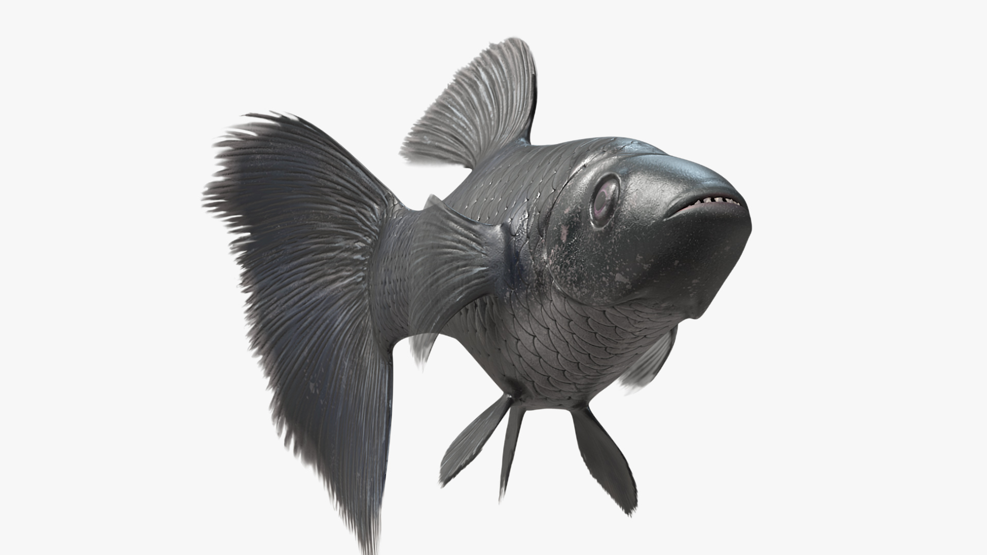 3D model Guppy Fish Black Prince Rigged