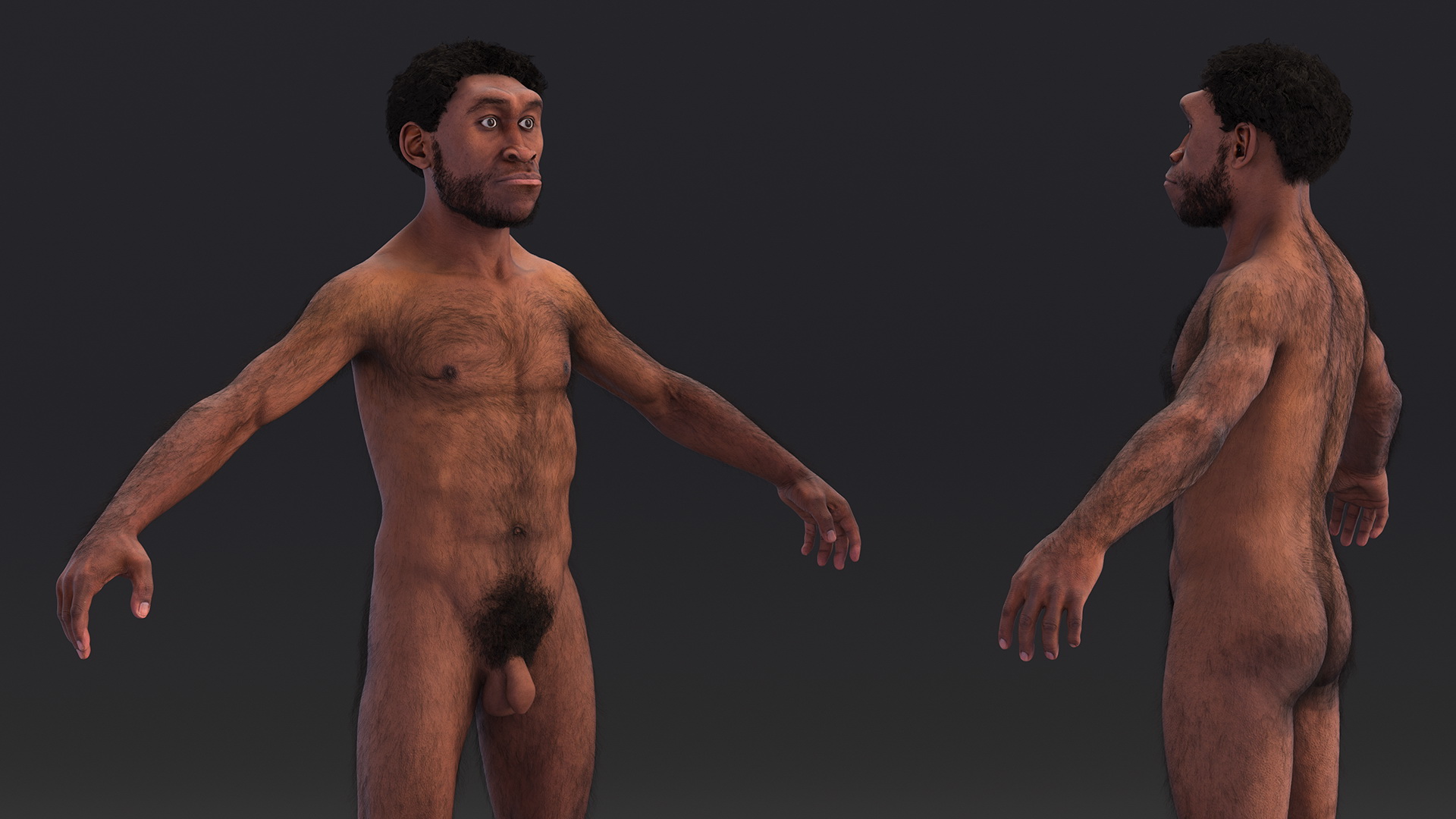 3D Homo Erectus Fur Rigged model