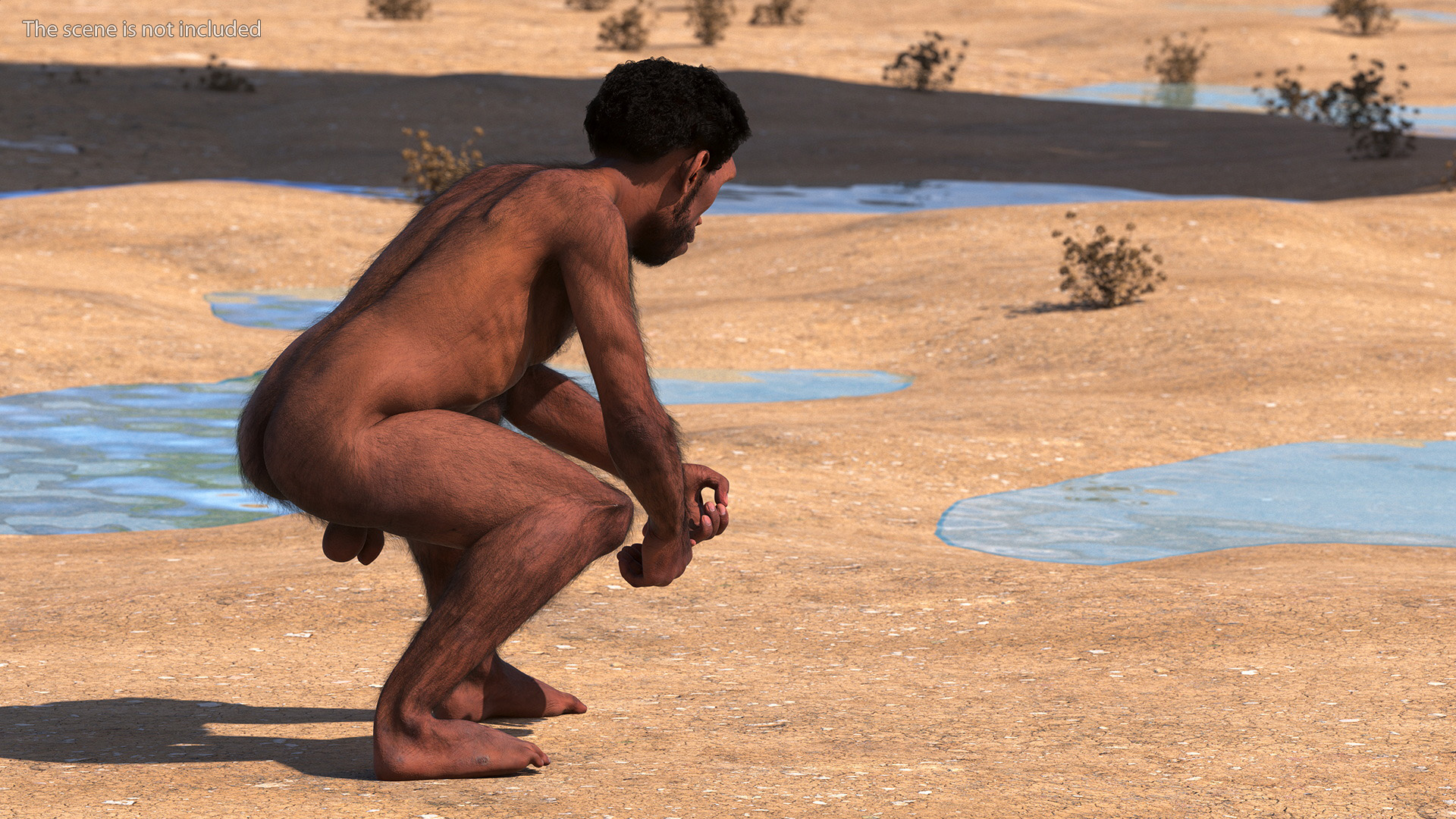 3D Homo Erectus Fur Rigged model