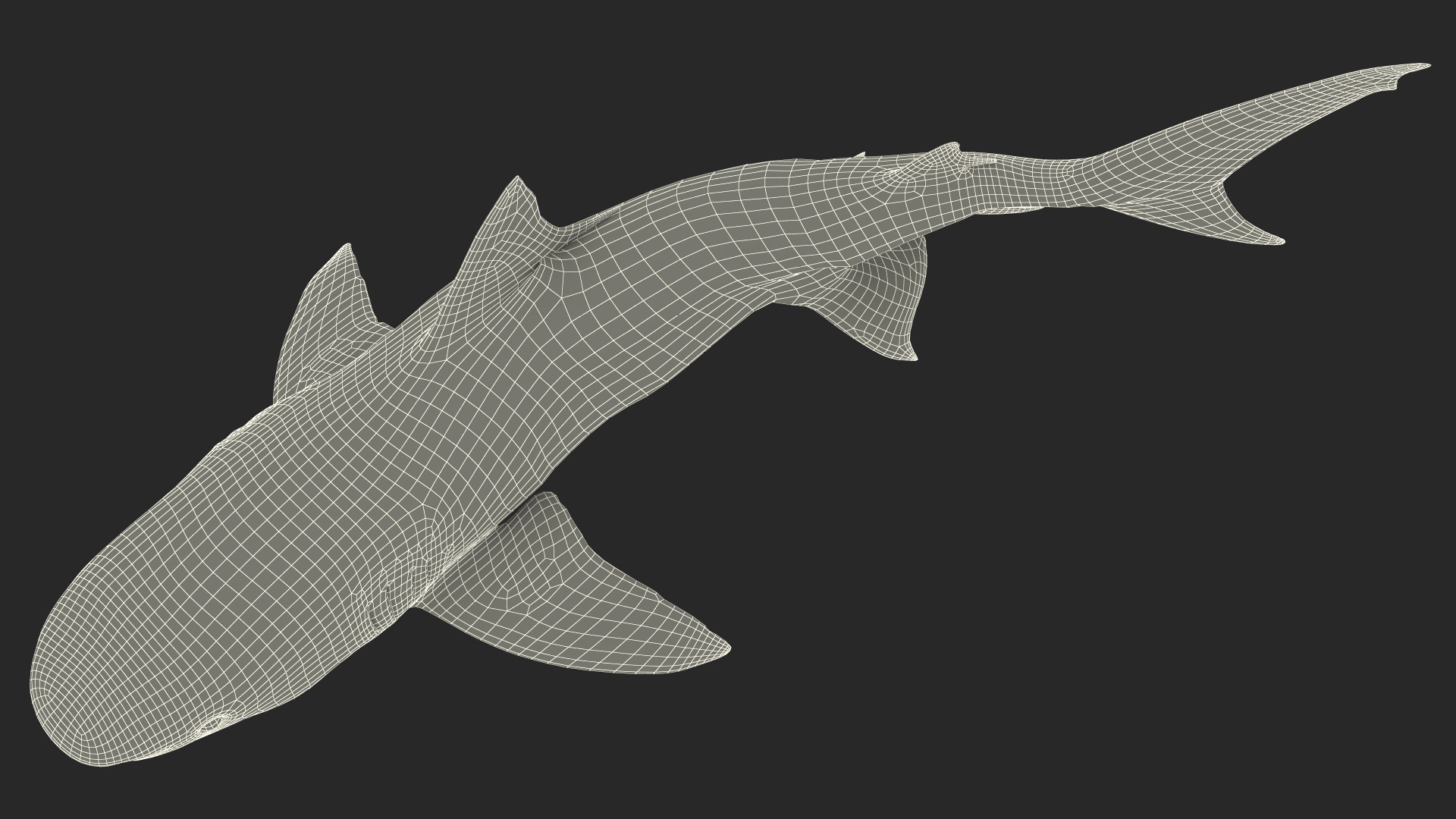 3D Tiger Shark Attacking