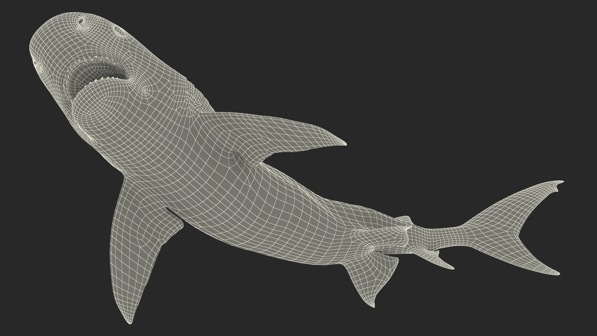 3D Tiger Shark Attacking