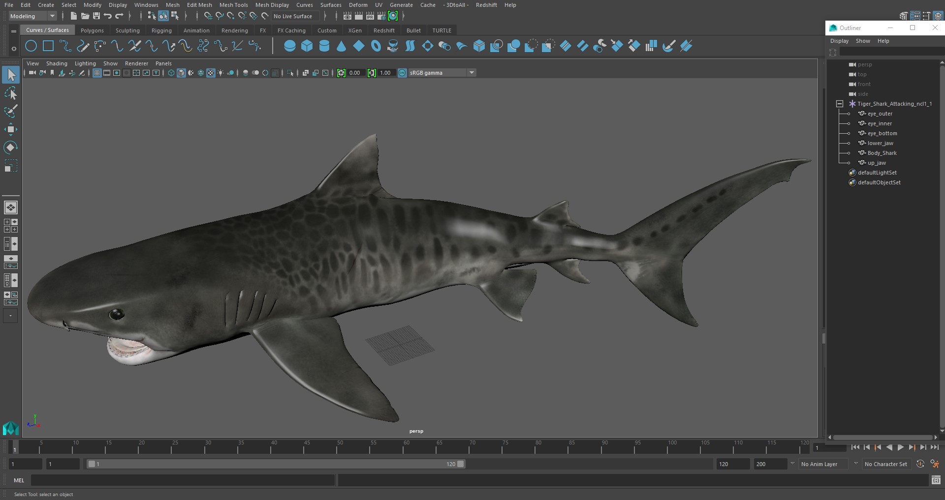 3D Tiger Shark Attacking