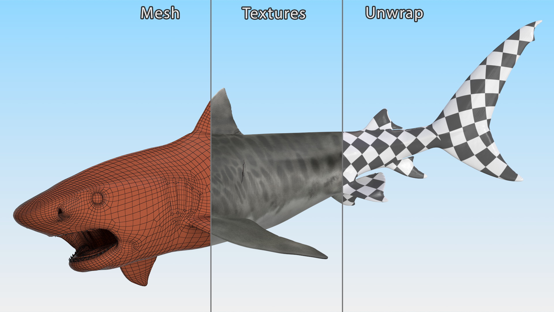 3D Tiger Shark Attacking