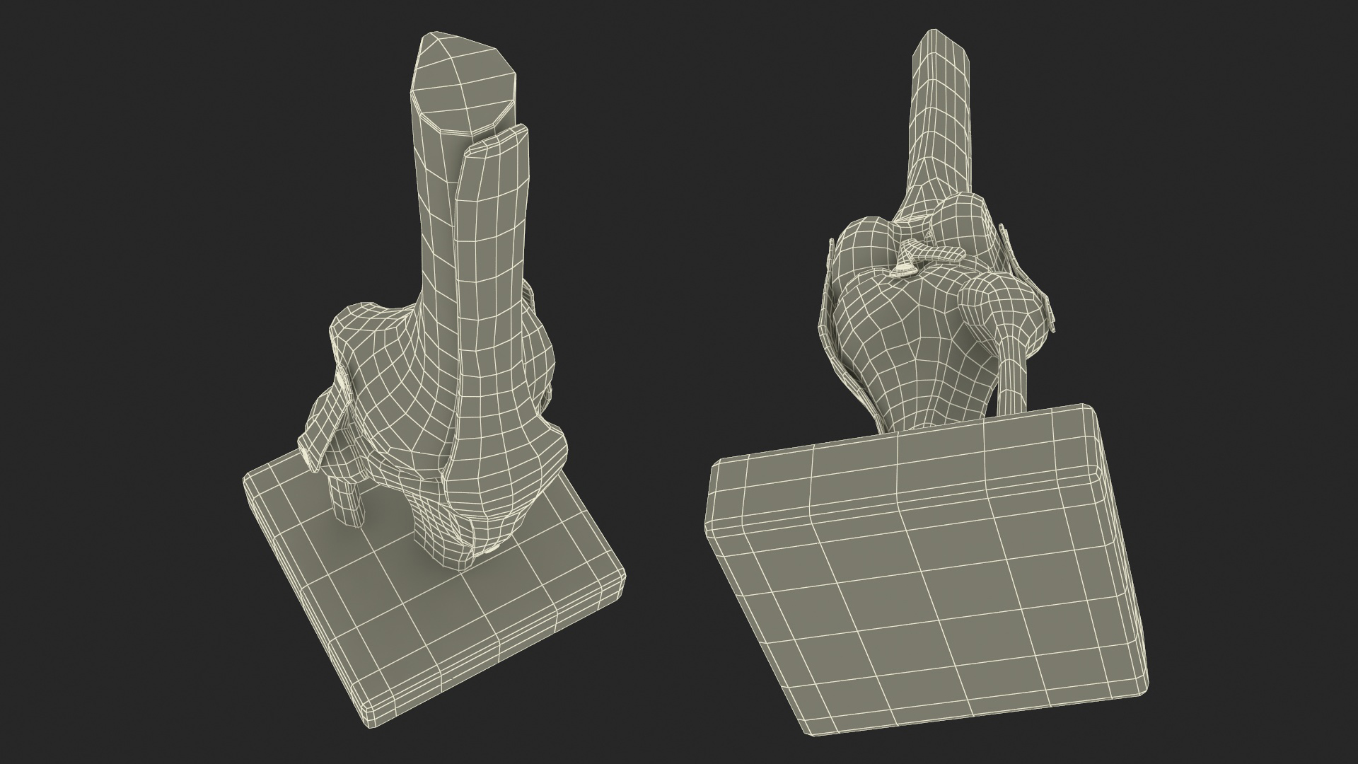 3D model Anatomical Model of Knee Joint