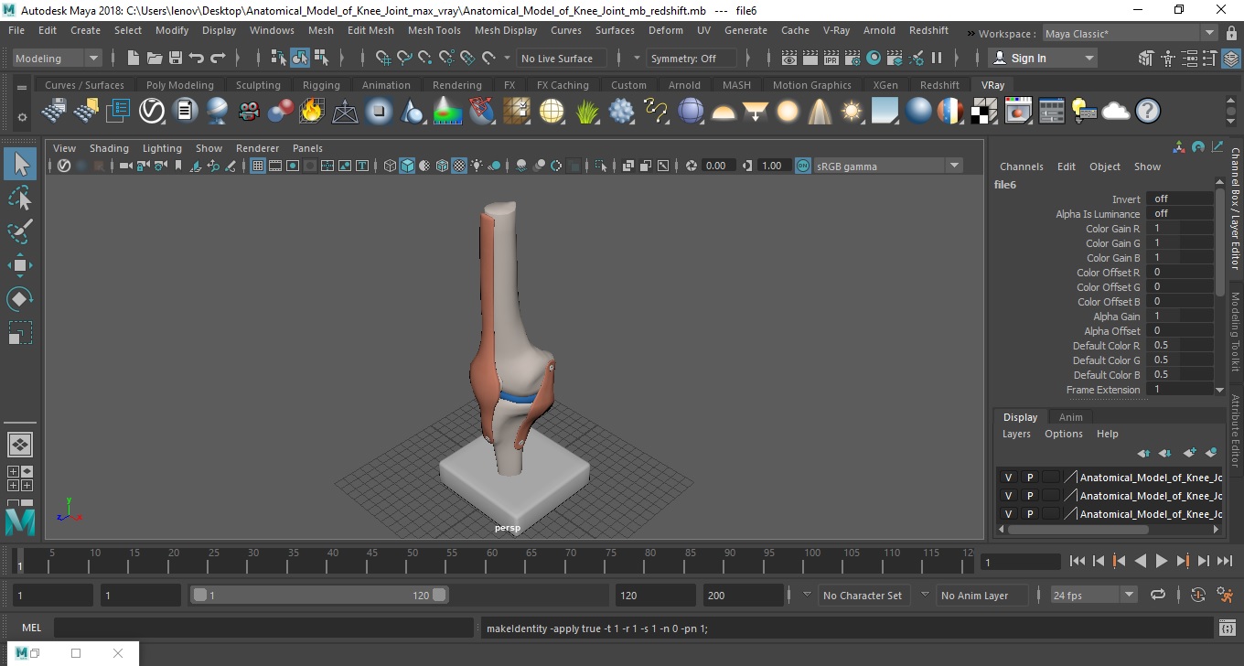 3D Anatomical Model of Knee Joint for 3D Print model