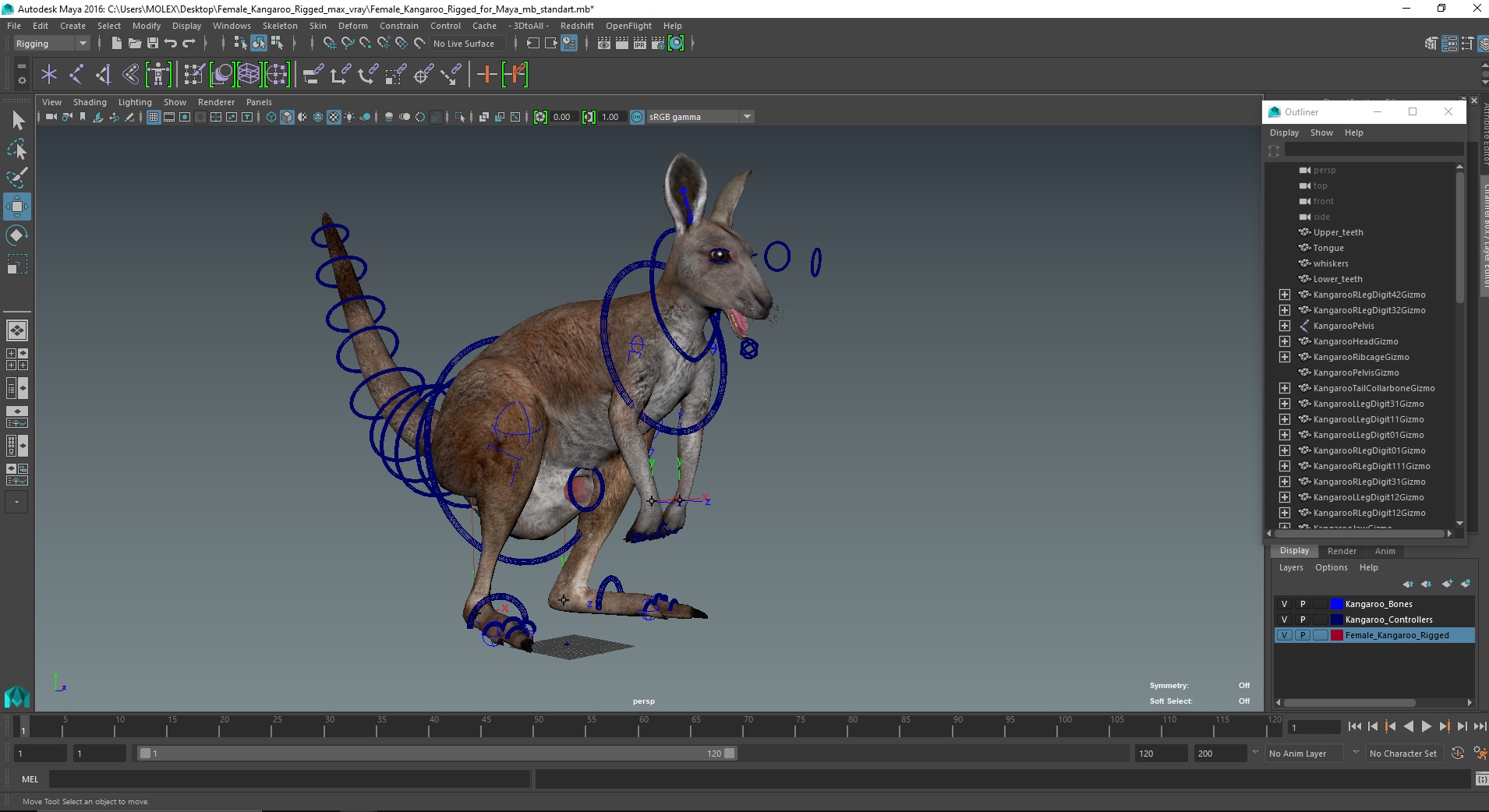 3D Female Kangaroo Rigged for Maya