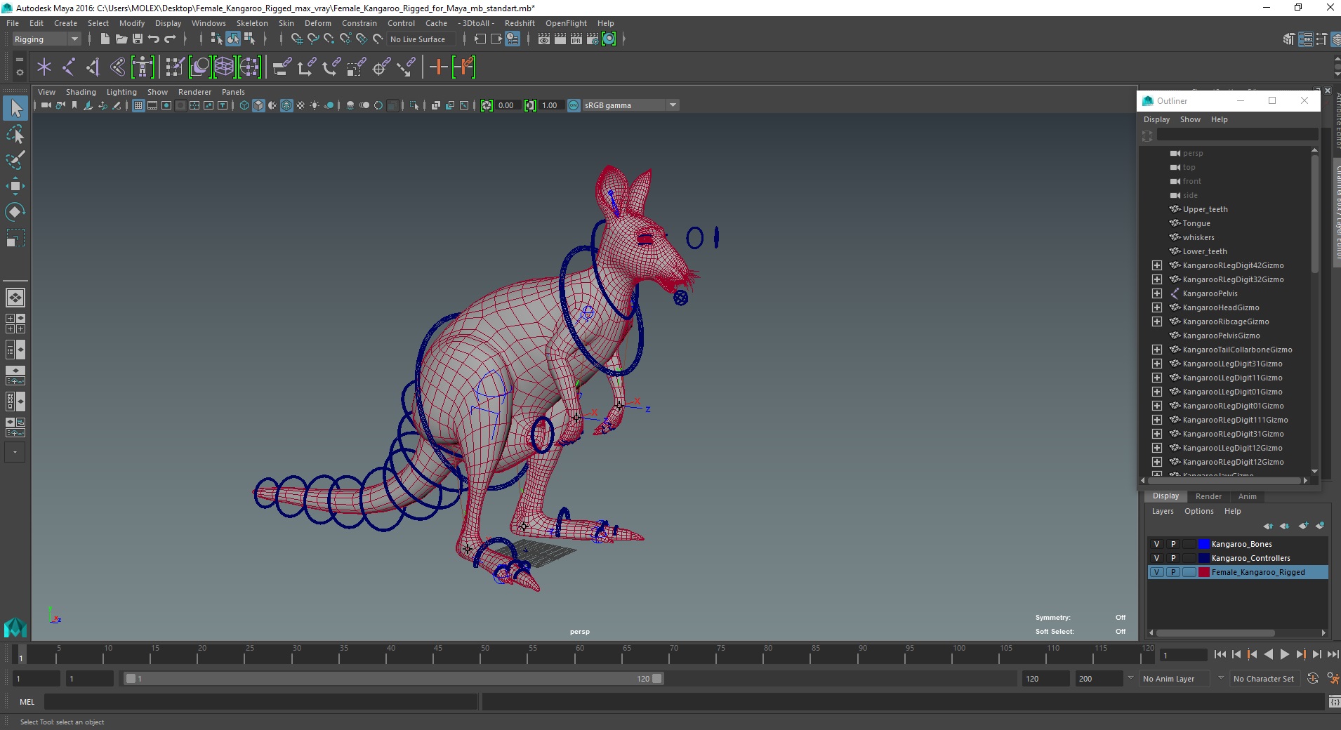 3D Female Kangaroo Rigged for Maya