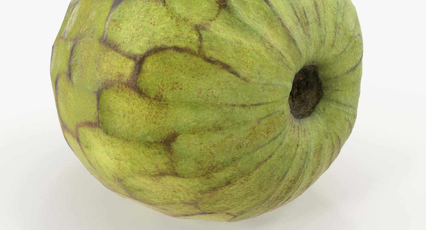 3D model Cherimoya Fruit Whole and Half