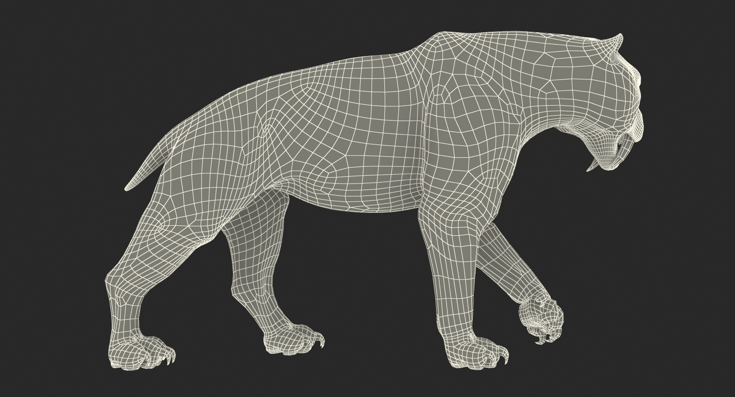 Arctic Saber Tooth Cat Walking Pose with Fur 3D model