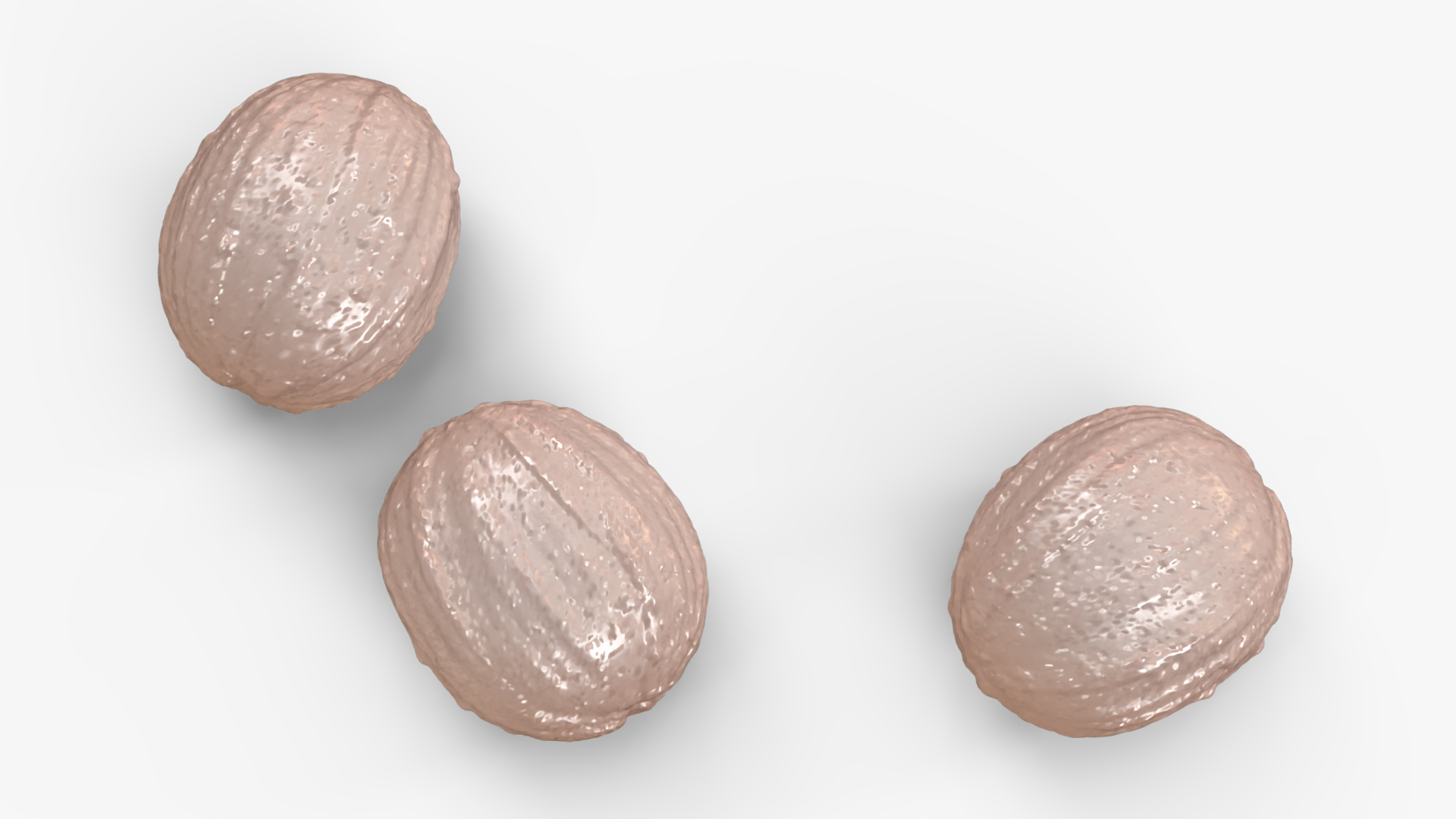 Peeled Lychee Fruit 3D model