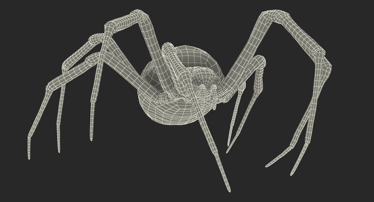 Golden Garden Spider with Fur 3D model