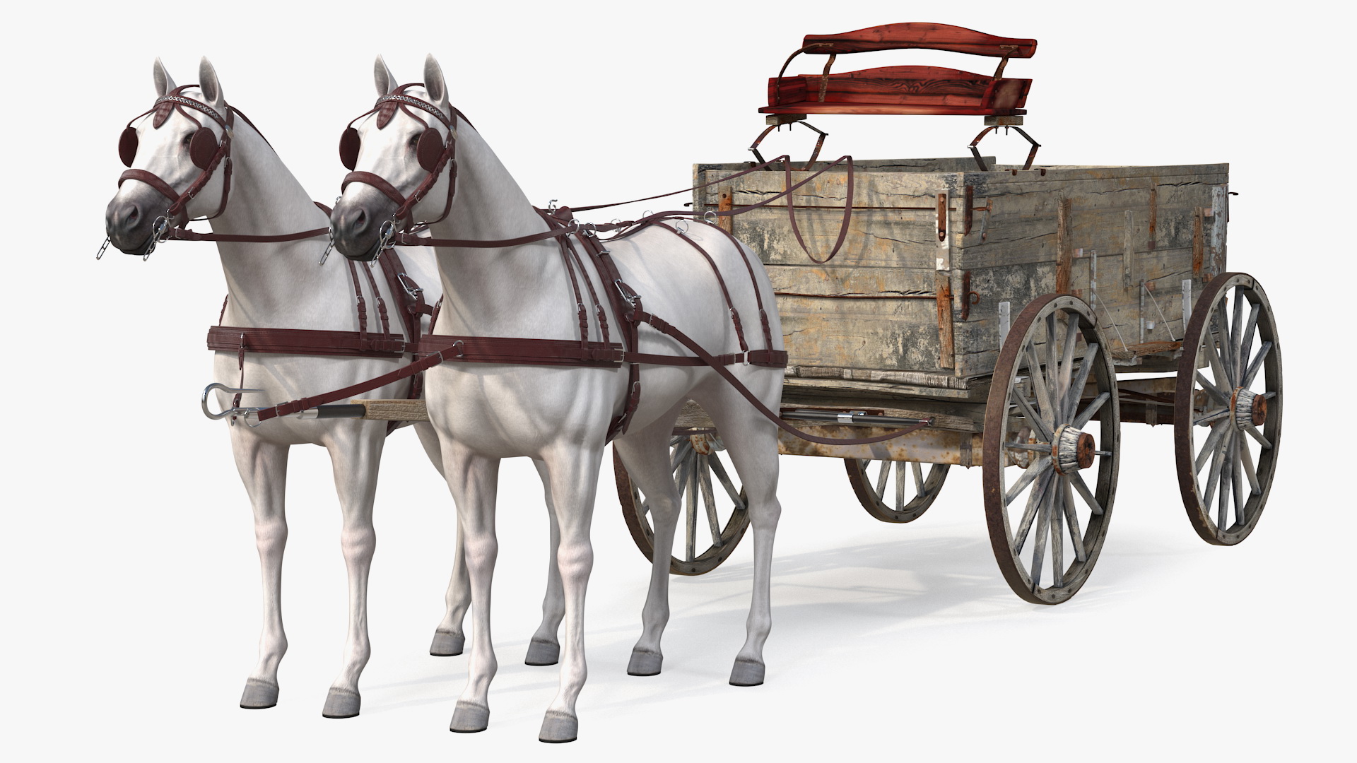 3D Pair Of White Horses with Wagon