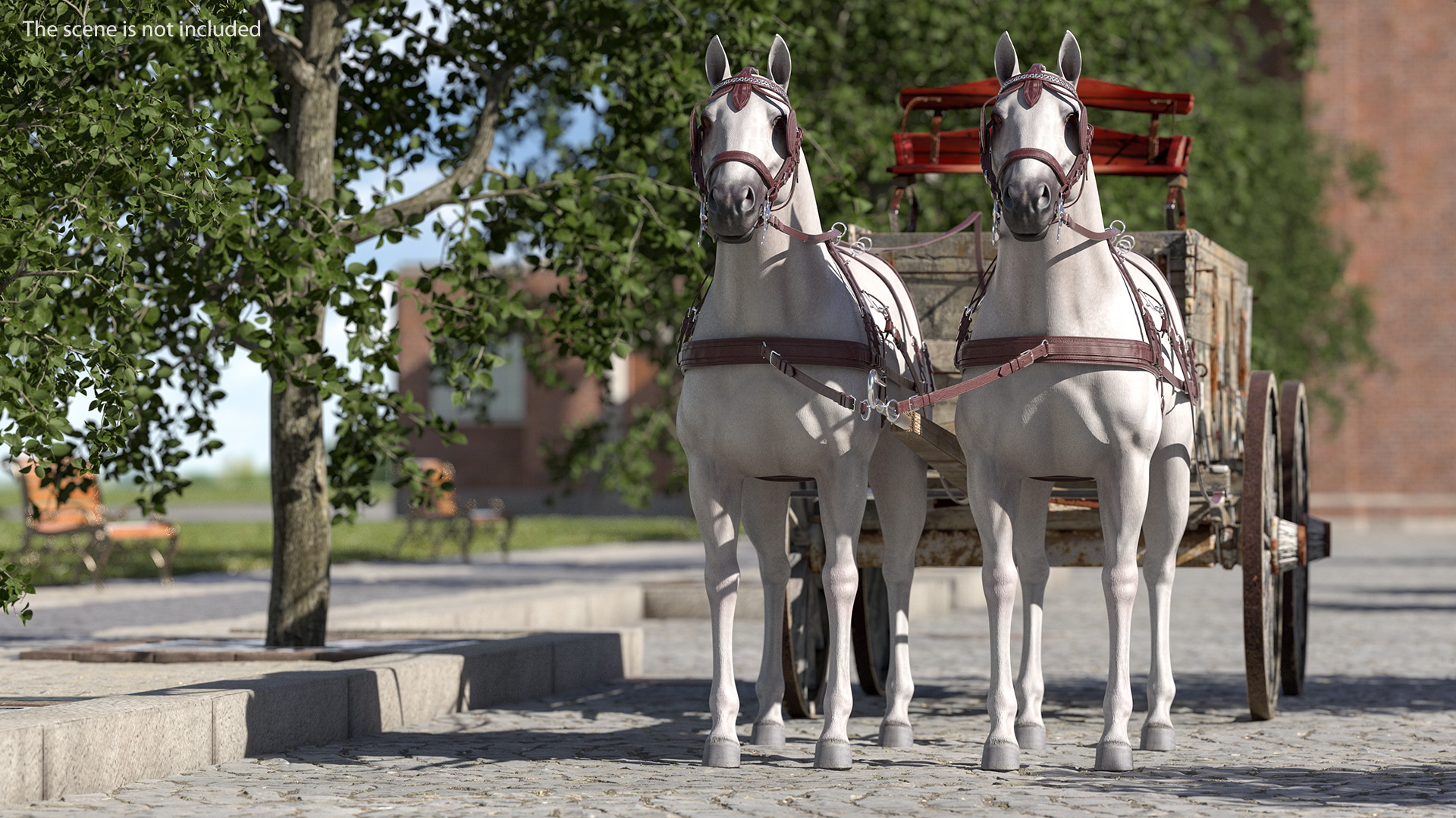 3D Pair Of White Horses with Wagon