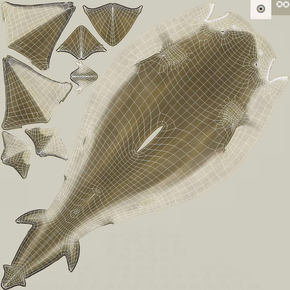 3D Negaprion Brevirostris Shark model