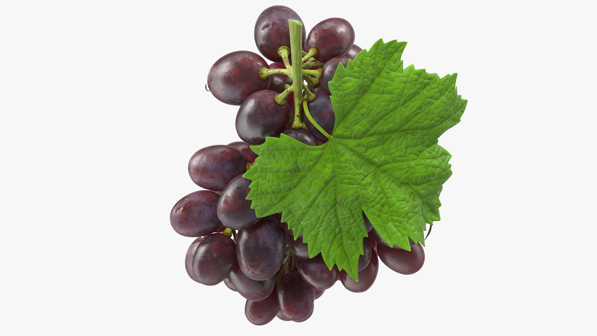 3D model Bunch of Dark Grapes