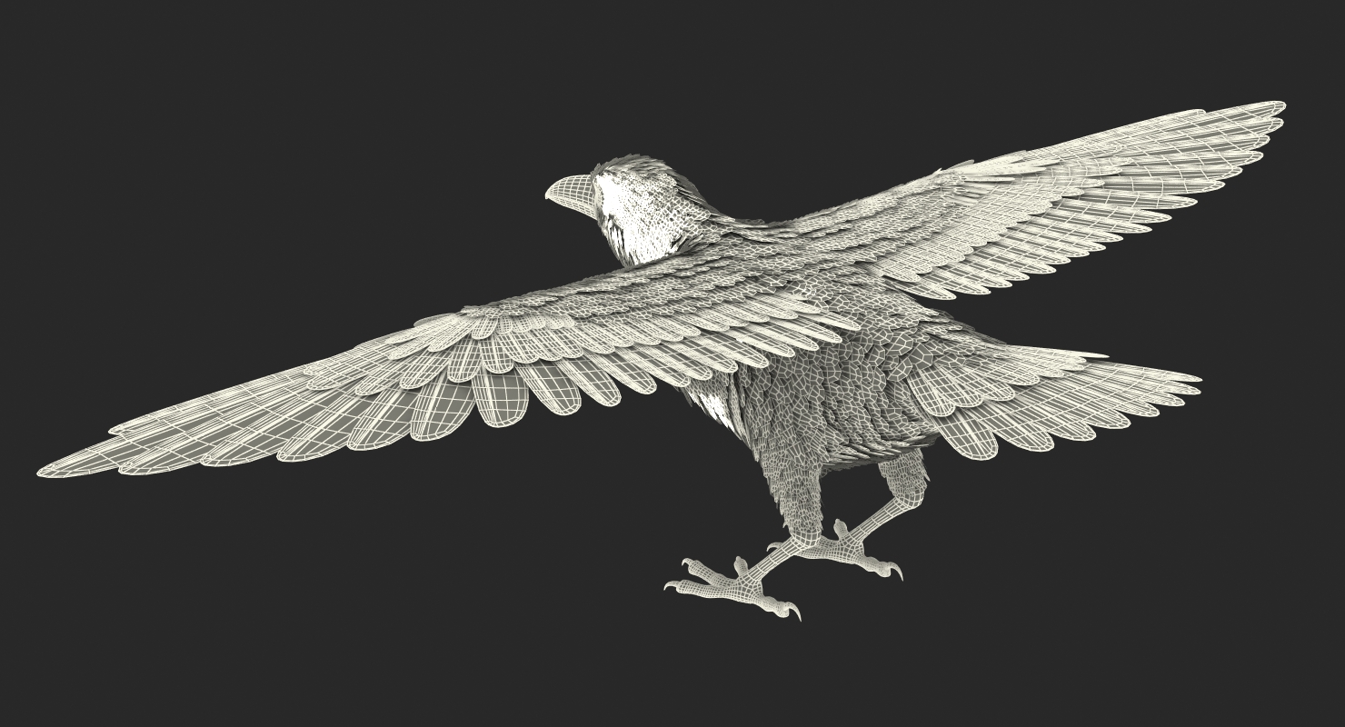 Common Raven Rigged 3D model