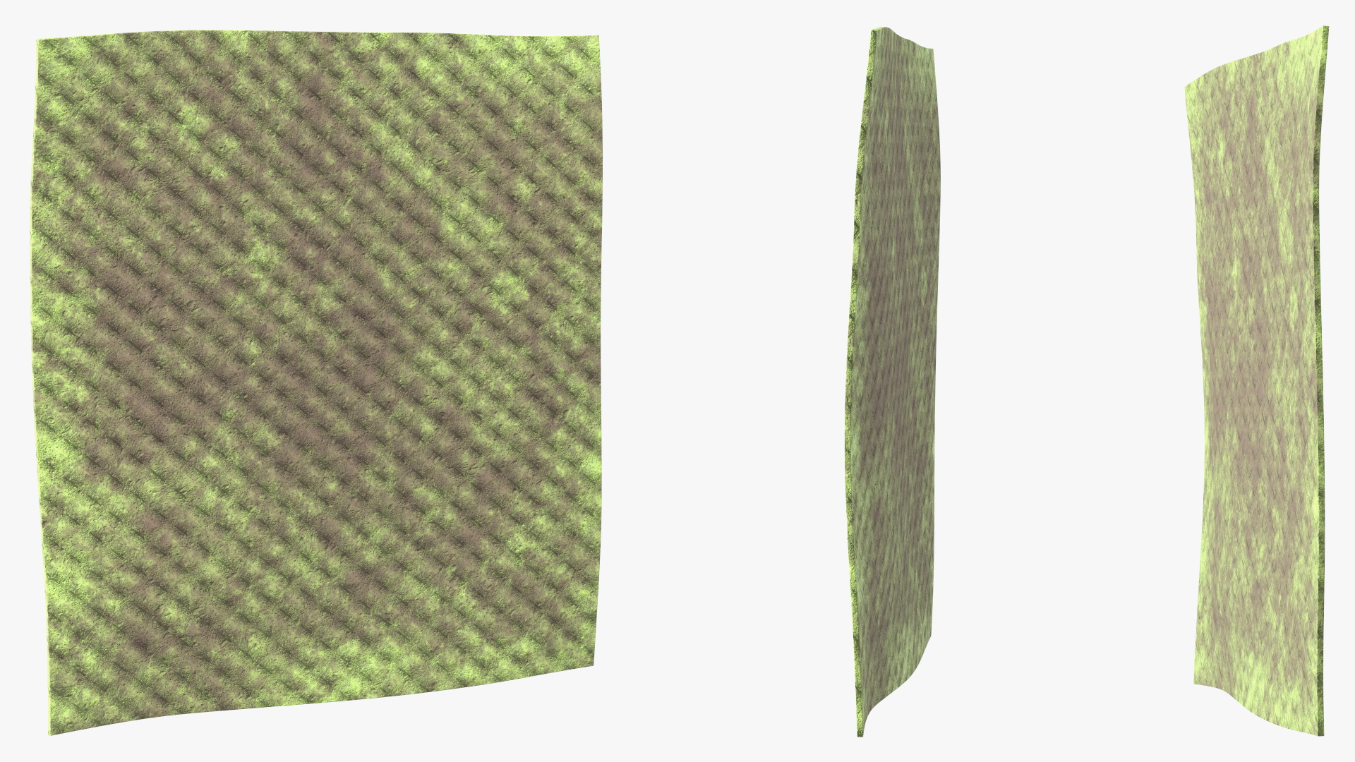 3D Dirty Kitchen Rag Green model