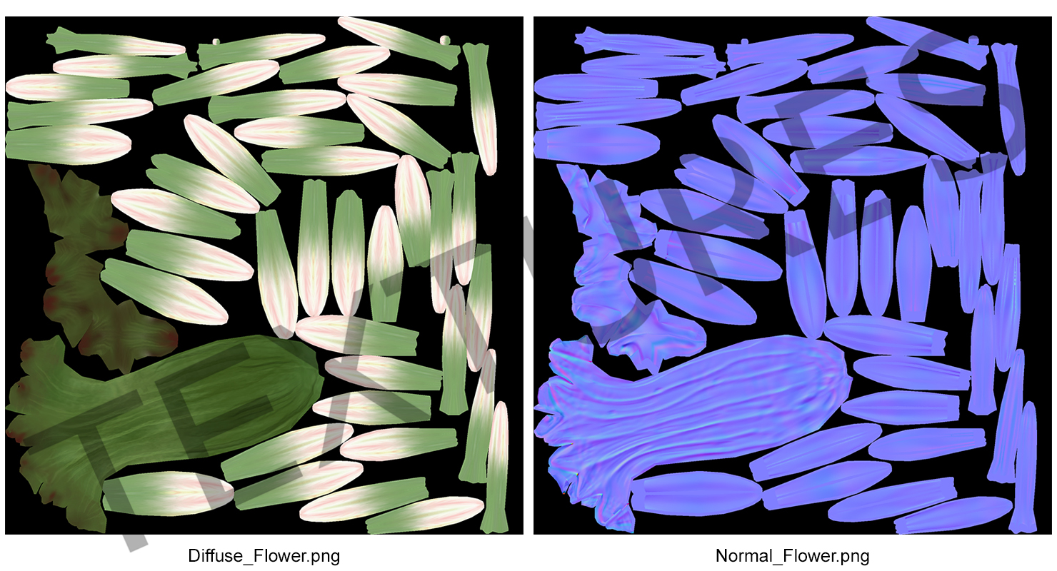 3D Cactus Flower model