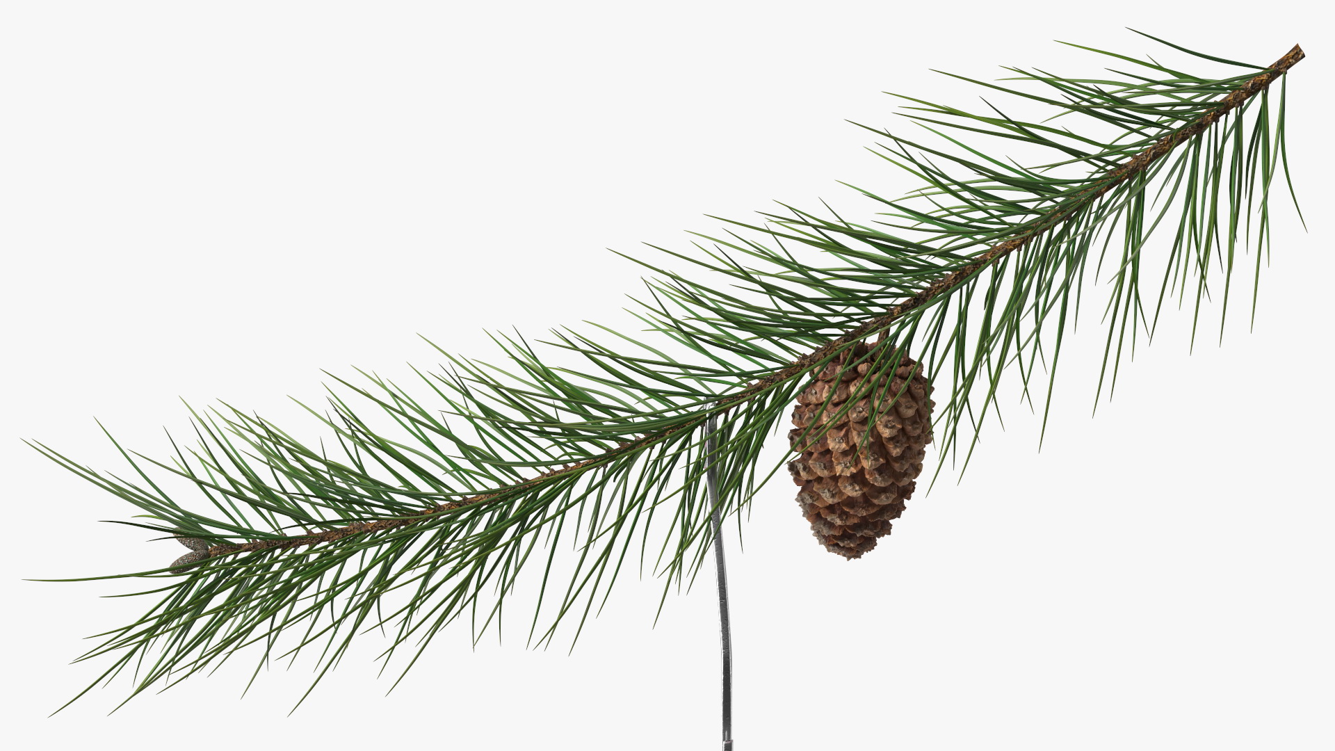 Coronavirus Ornament Christmas Branch 3D