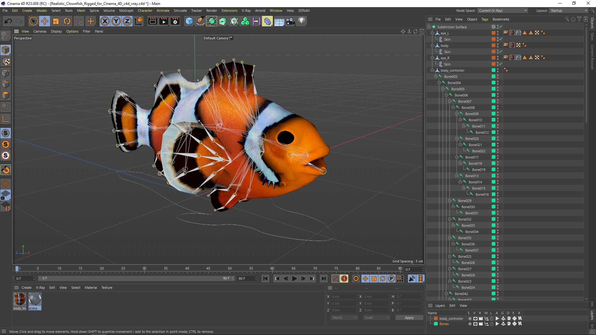 3D model Realistic Clownfish Rigged for Cinema 4D