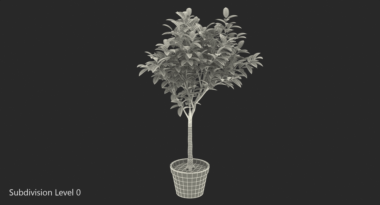 Small Tree In A Pot 3D model