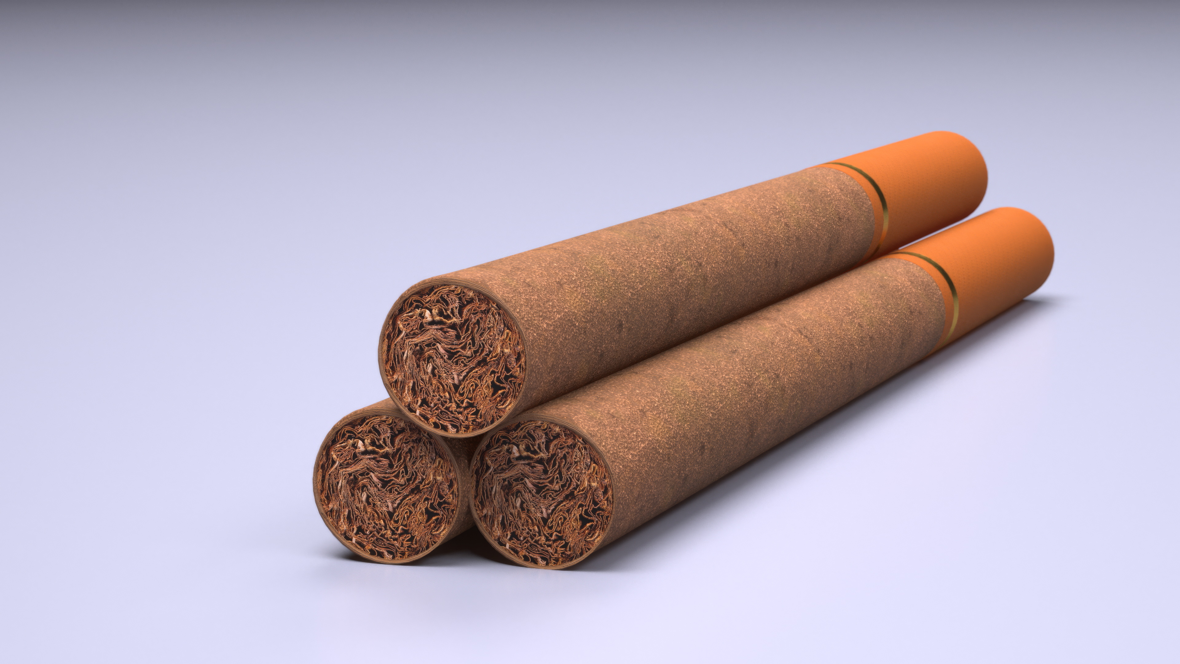 3D model Filtered Small Cigar