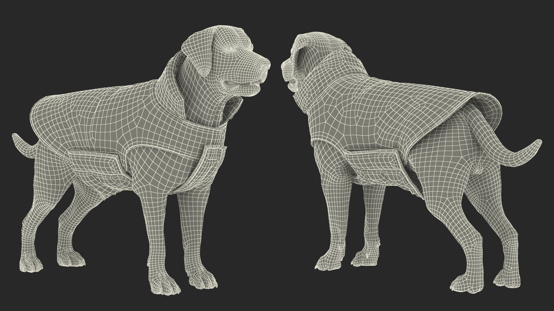 3D model Labrador Wearing Red Coat