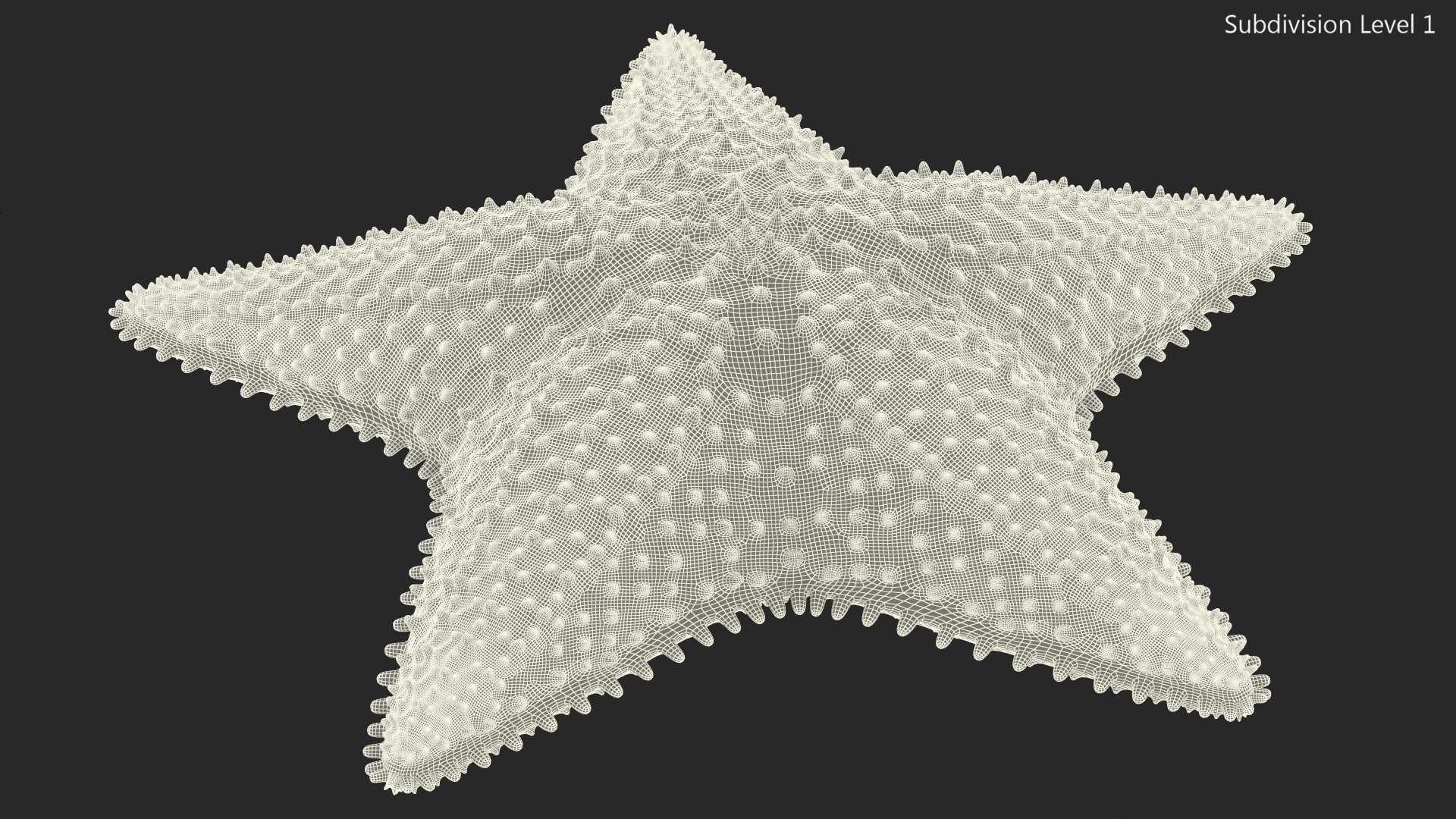 3D model Starfish