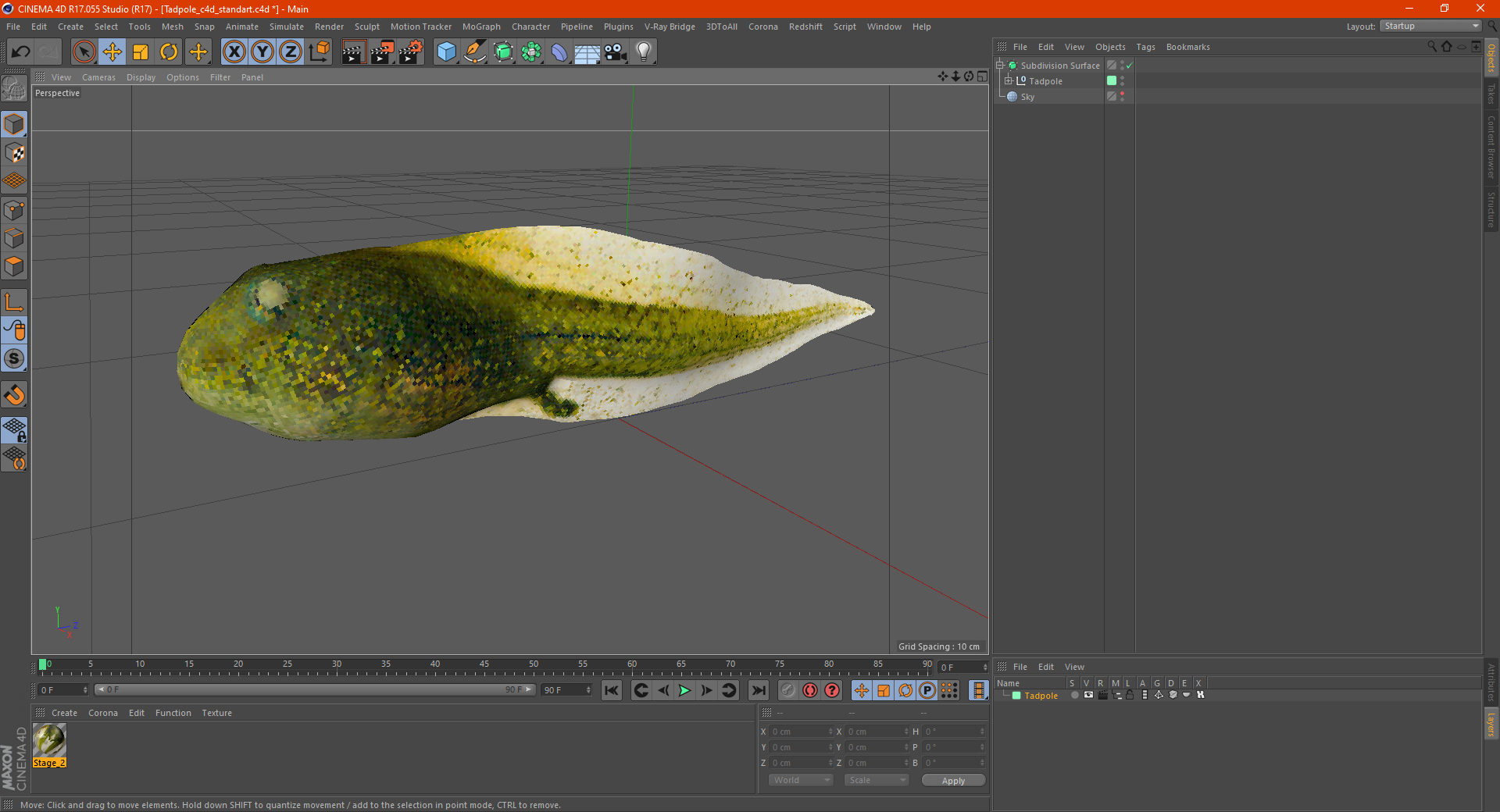 Tadpole 3D model