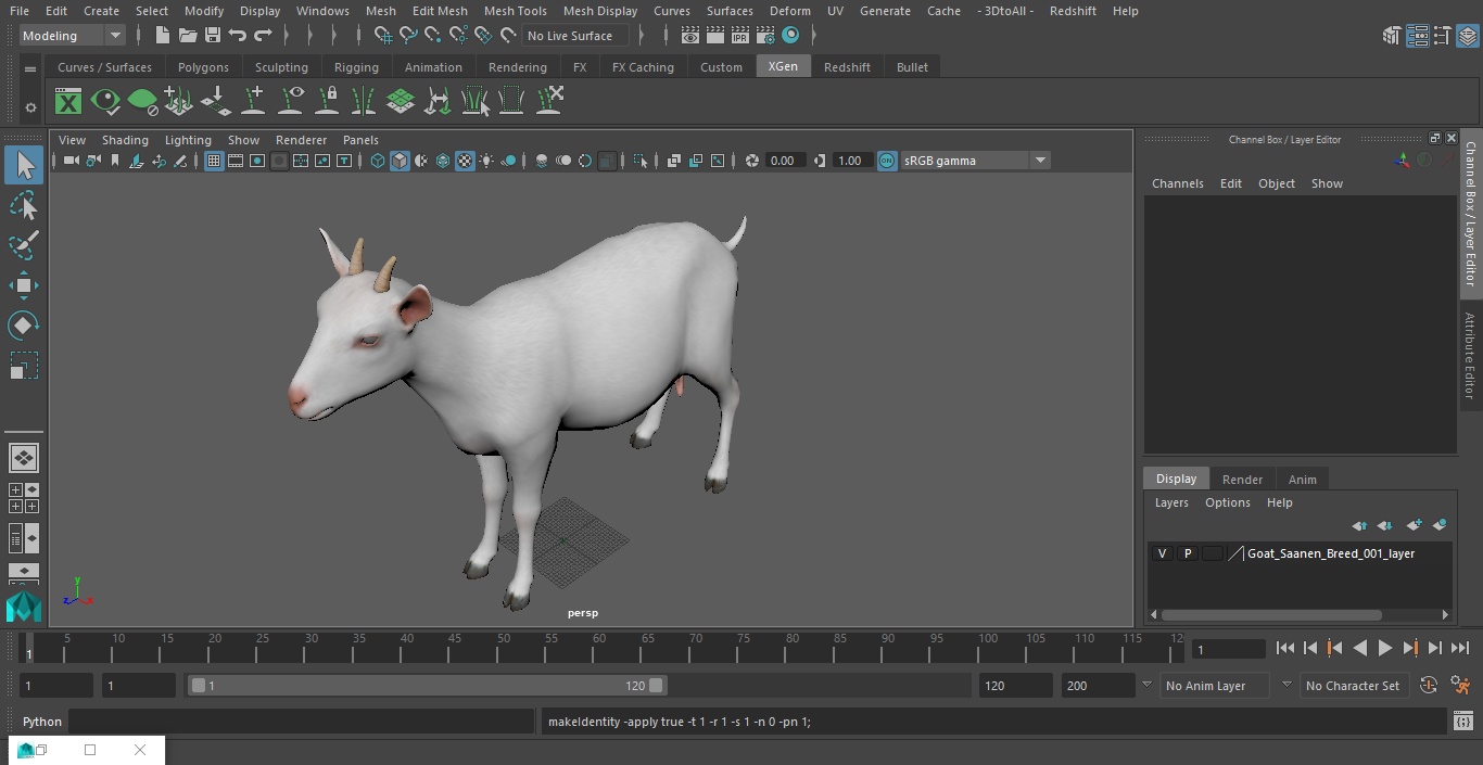 Goat Saanen Breed 3D