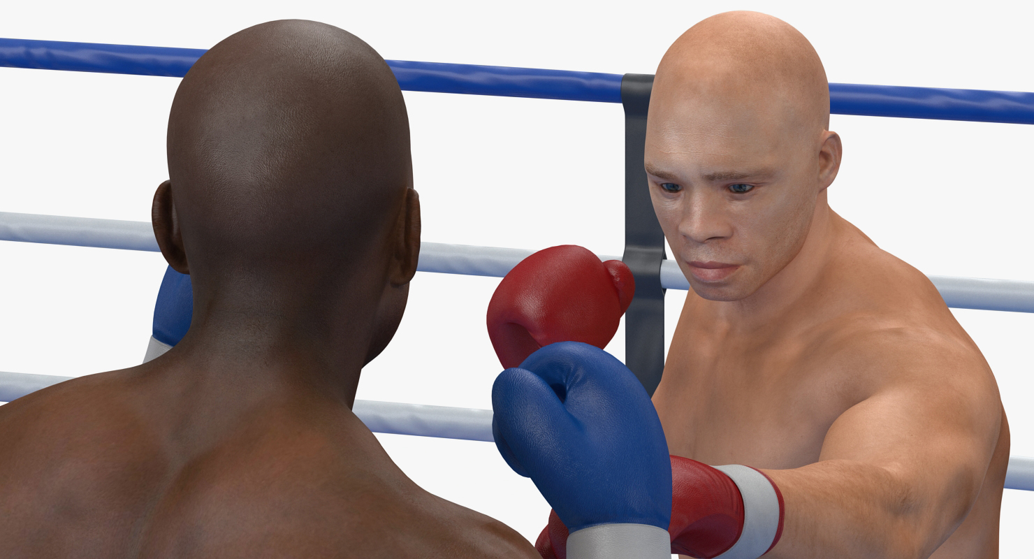 3D model Boxers Fighting In Boxing Ring