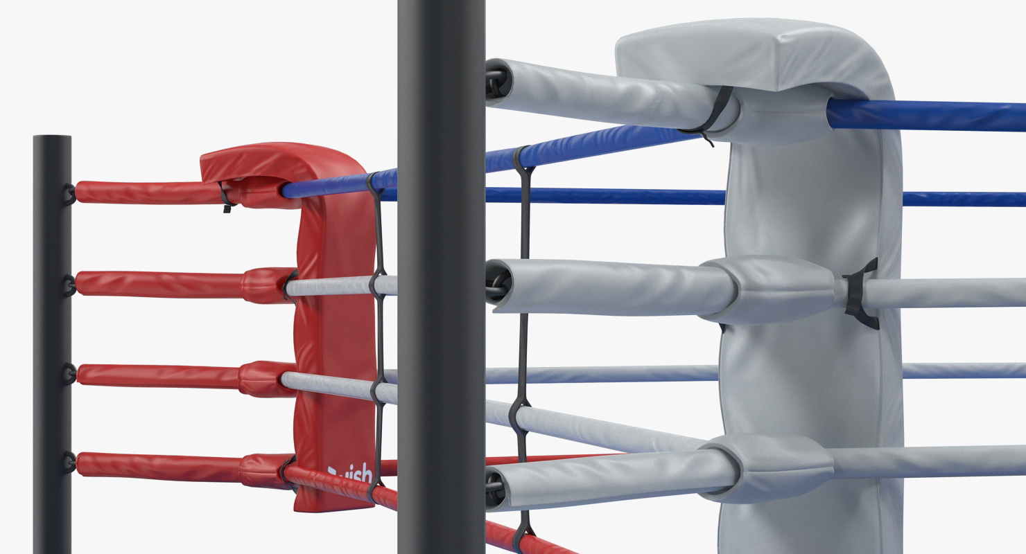 3D model Boxers Fighting In Boxing Ring