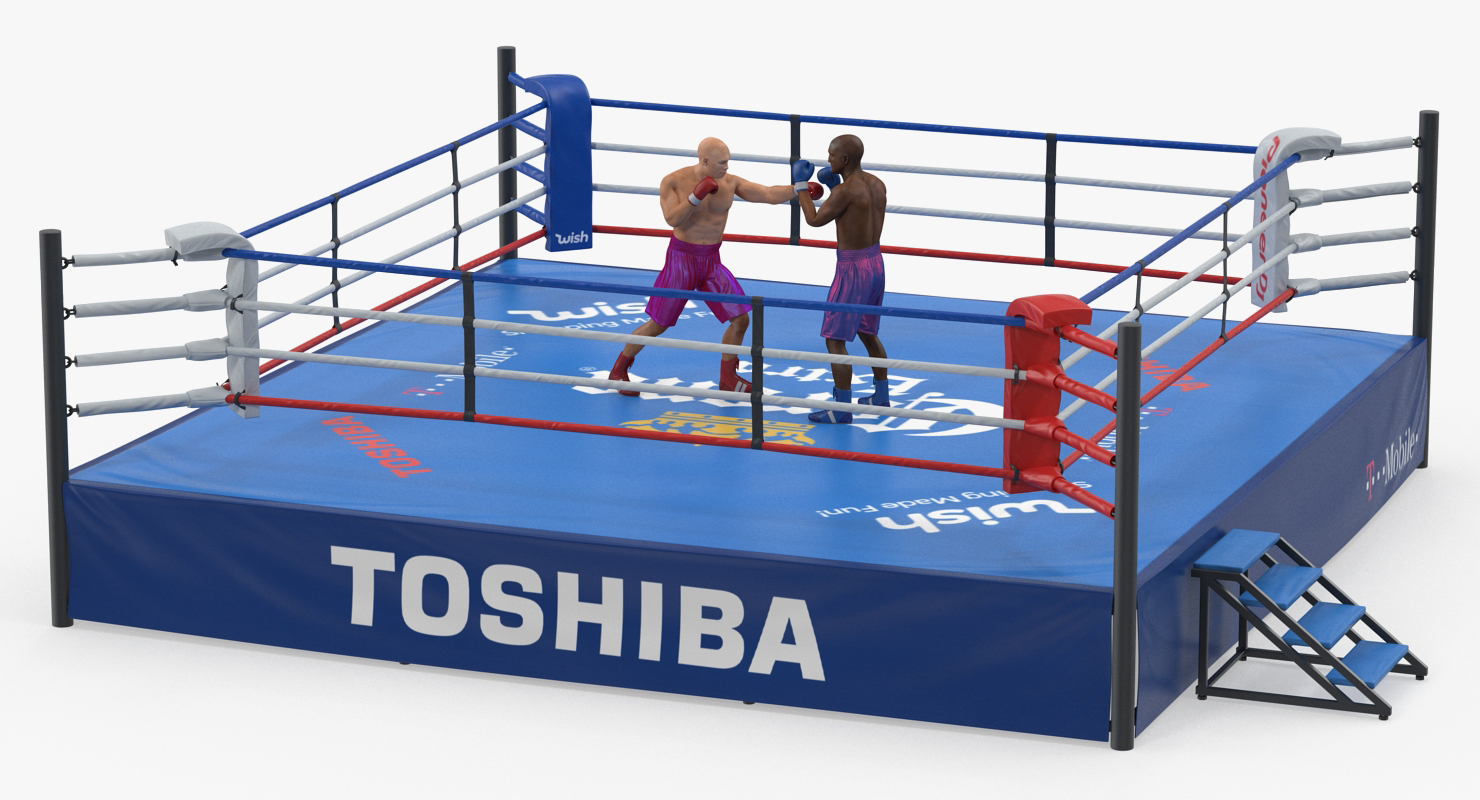 3D model Boxers Fighting In Boxing Ring