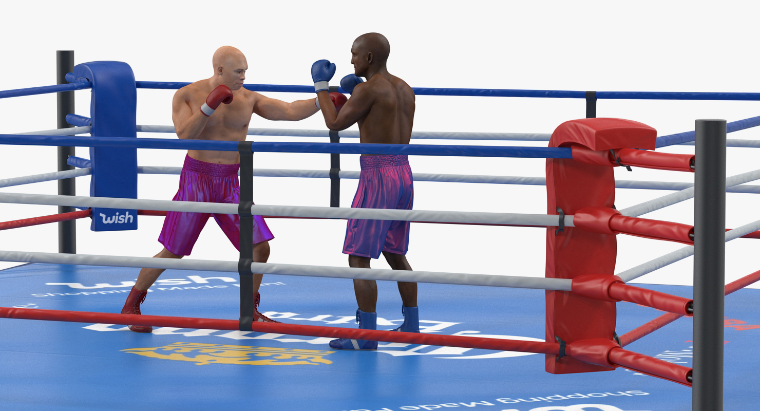 3D model Boxers Fighting In Boxing Ring